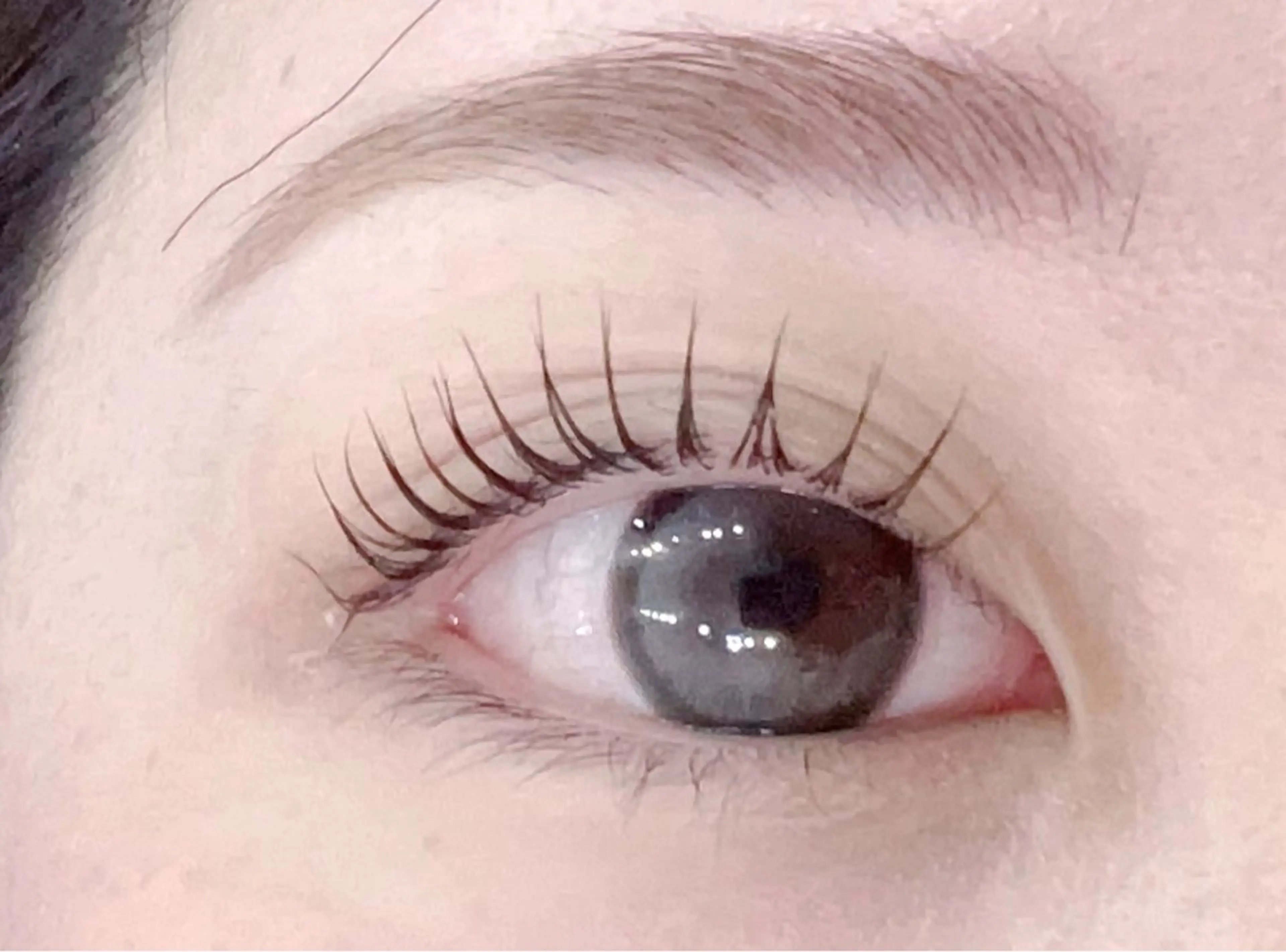 マツエク・マツパ 大人気🌸ran L ED専門店/パリエクのマツエク・マツパデザイン