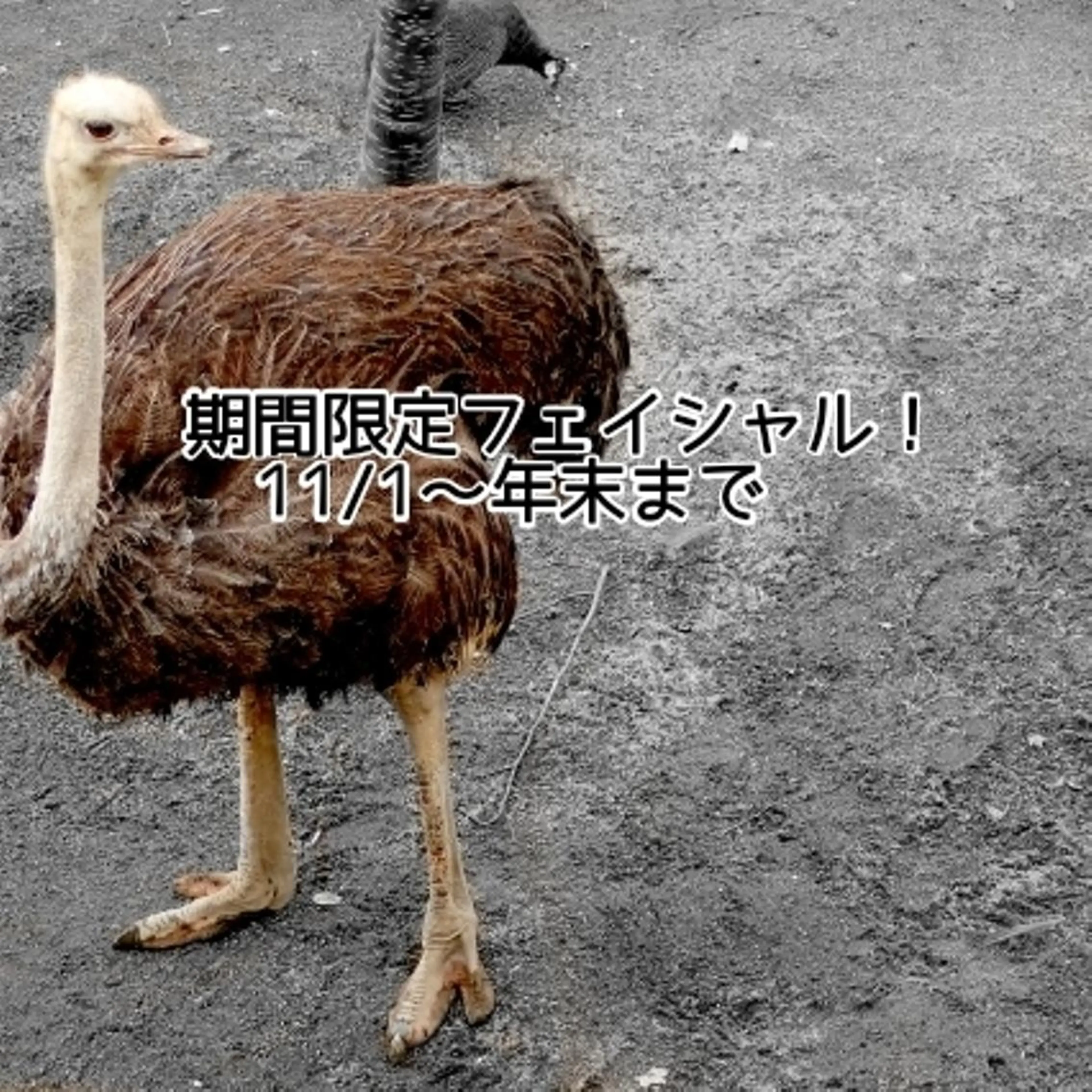 シミ・たるみ専門 サロン Cherieのエステ・リラクイメージ