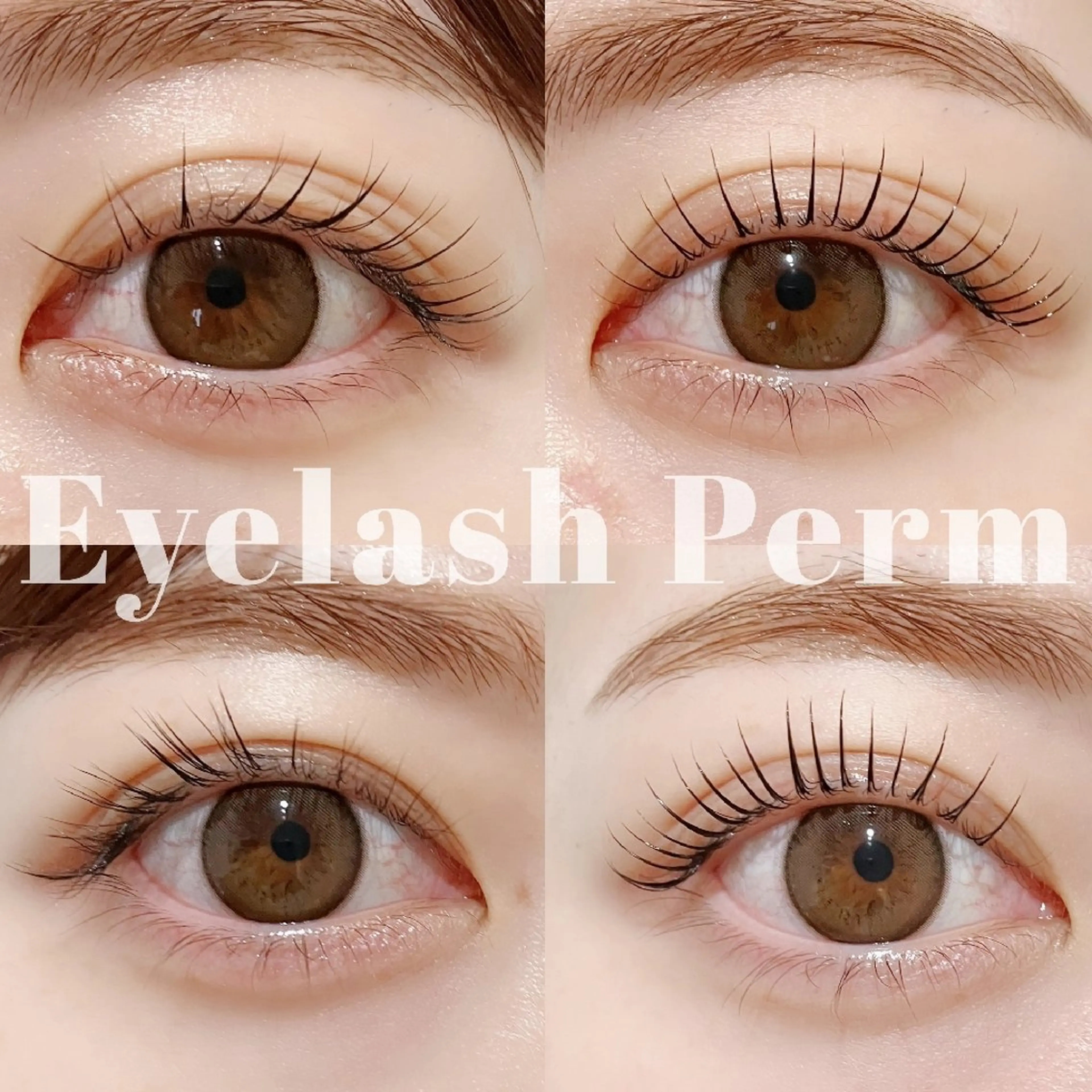 マツエク・マツパ Chisa【店長】 🌿jolie 栄店のマツエク・マツパデザイン