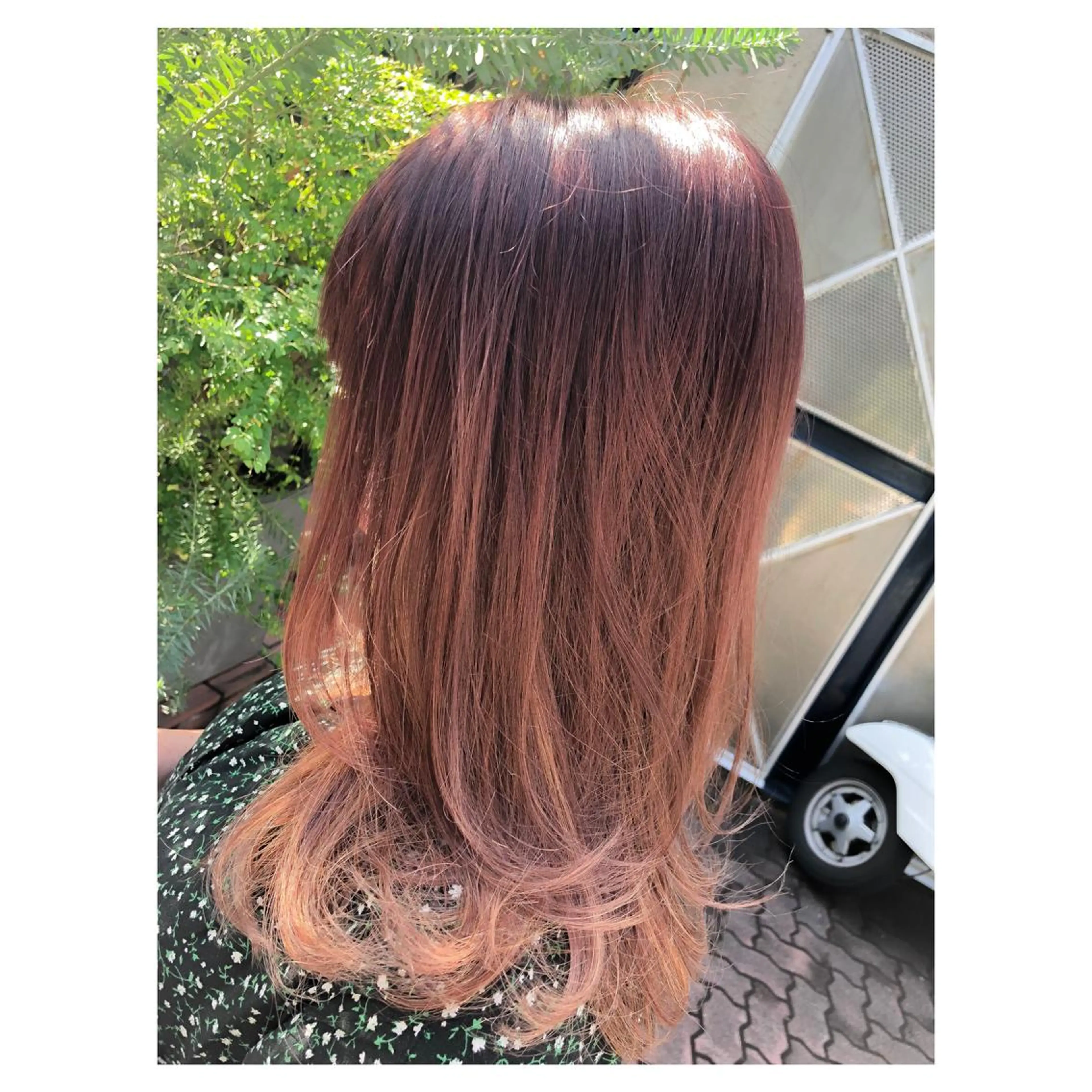 セミロング カラー グラデーションカラー ピンクカラー カット ヘアカラー トリートメント ヘアセット センスをお届けします 大谷将生infpのヘアスタイル