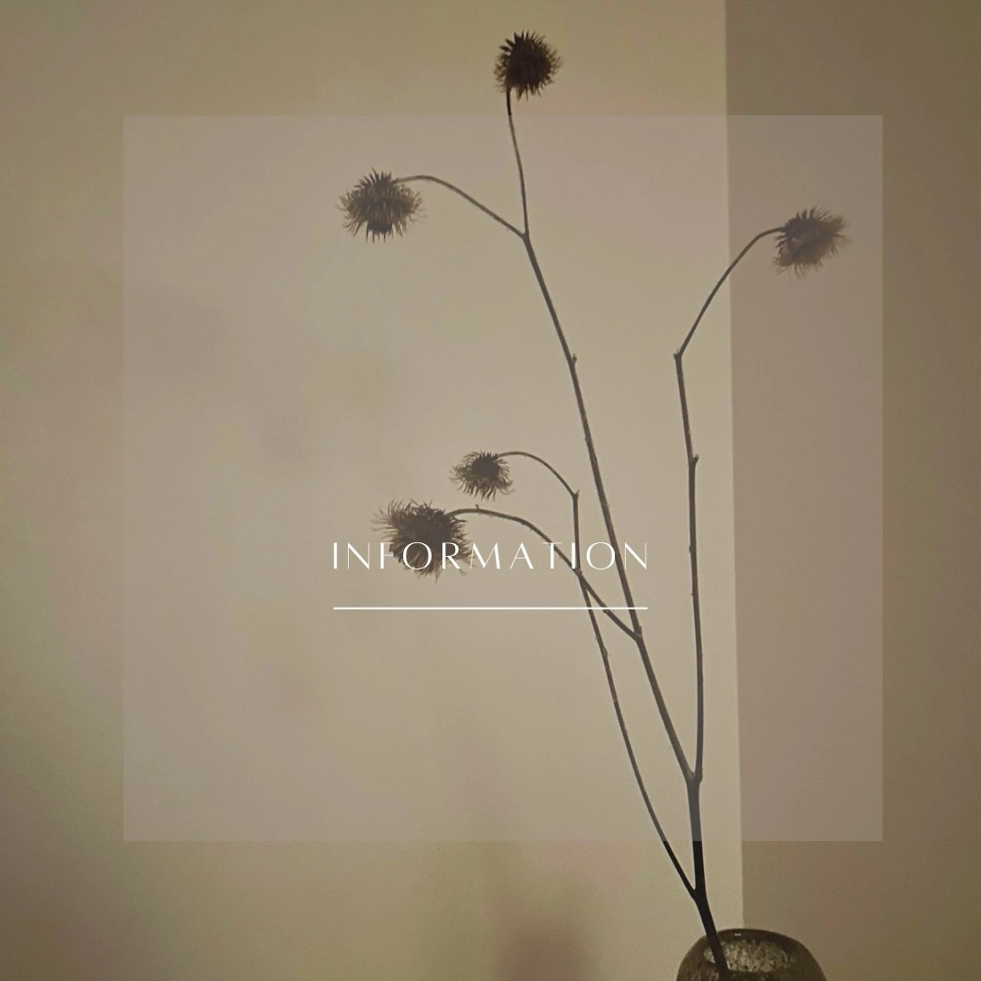 エステ リラク 小顔×肌質改善サロン soin〔ソワン〕のエステ・リラクイメージ