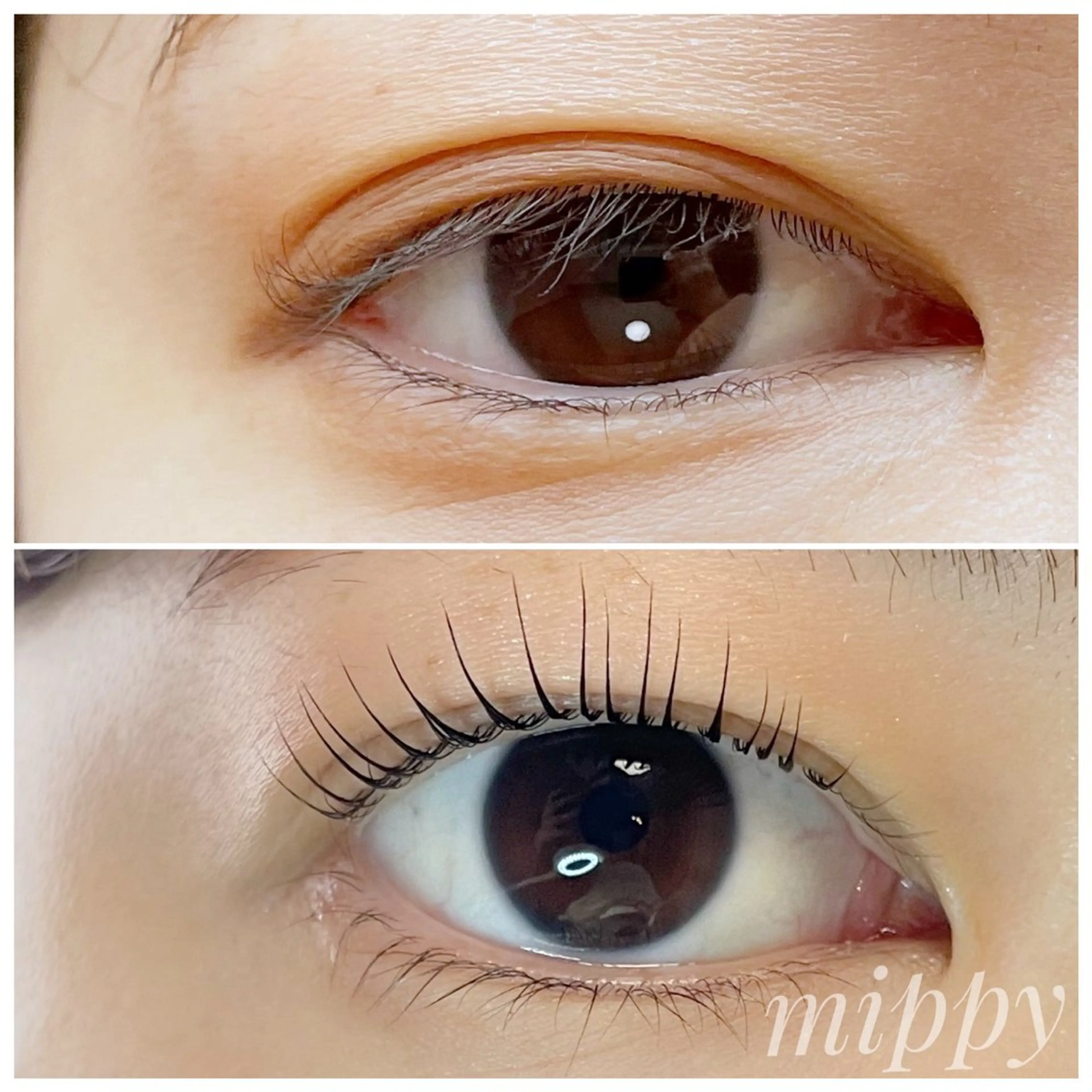 マツエク・マツパ マツパ ｍｉｐｐｙ 🪽のマツエク・マツパデザイン