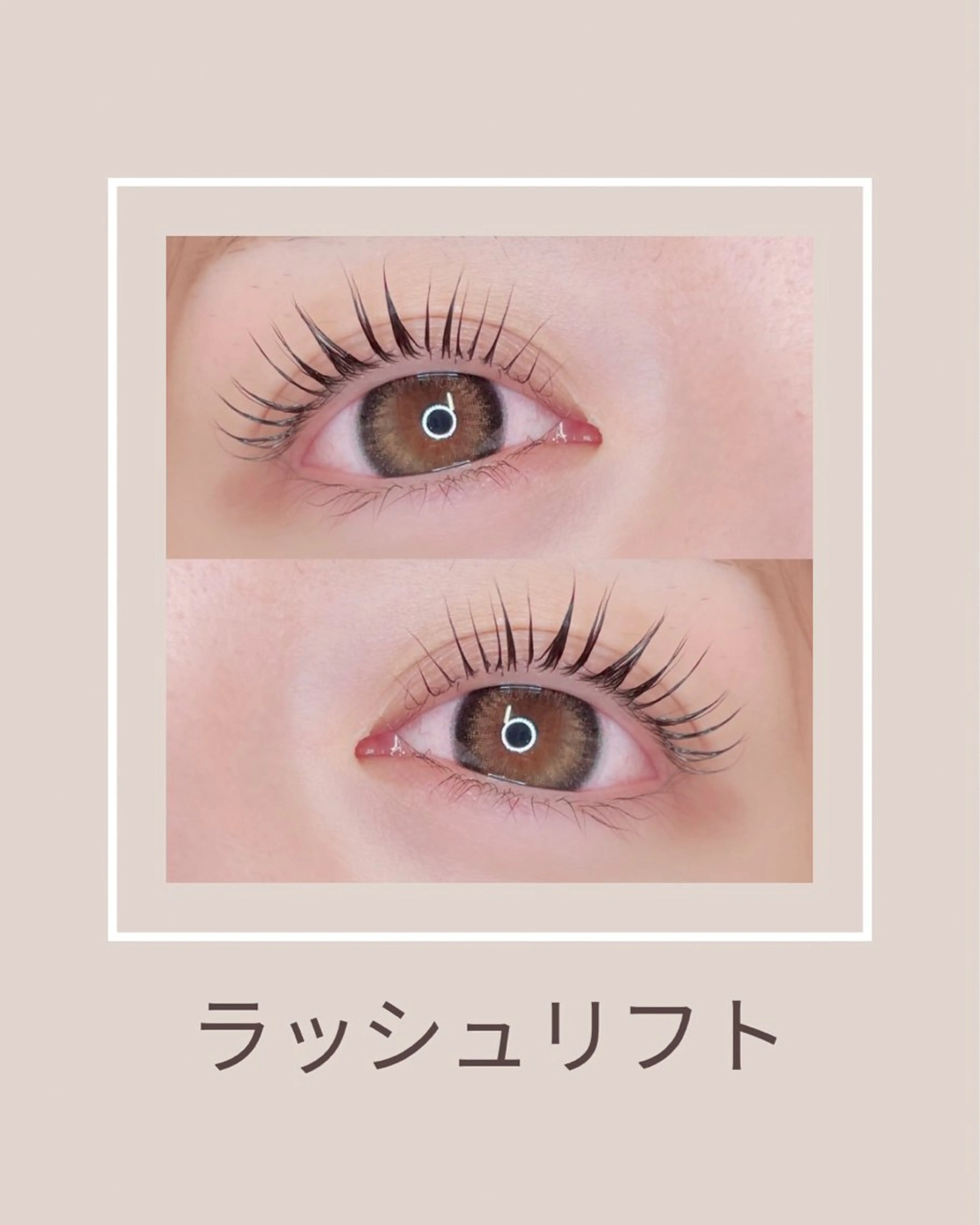 [🌿まつ毛の長さ強調🌿]パリジェンヌラッシュリフトの写真