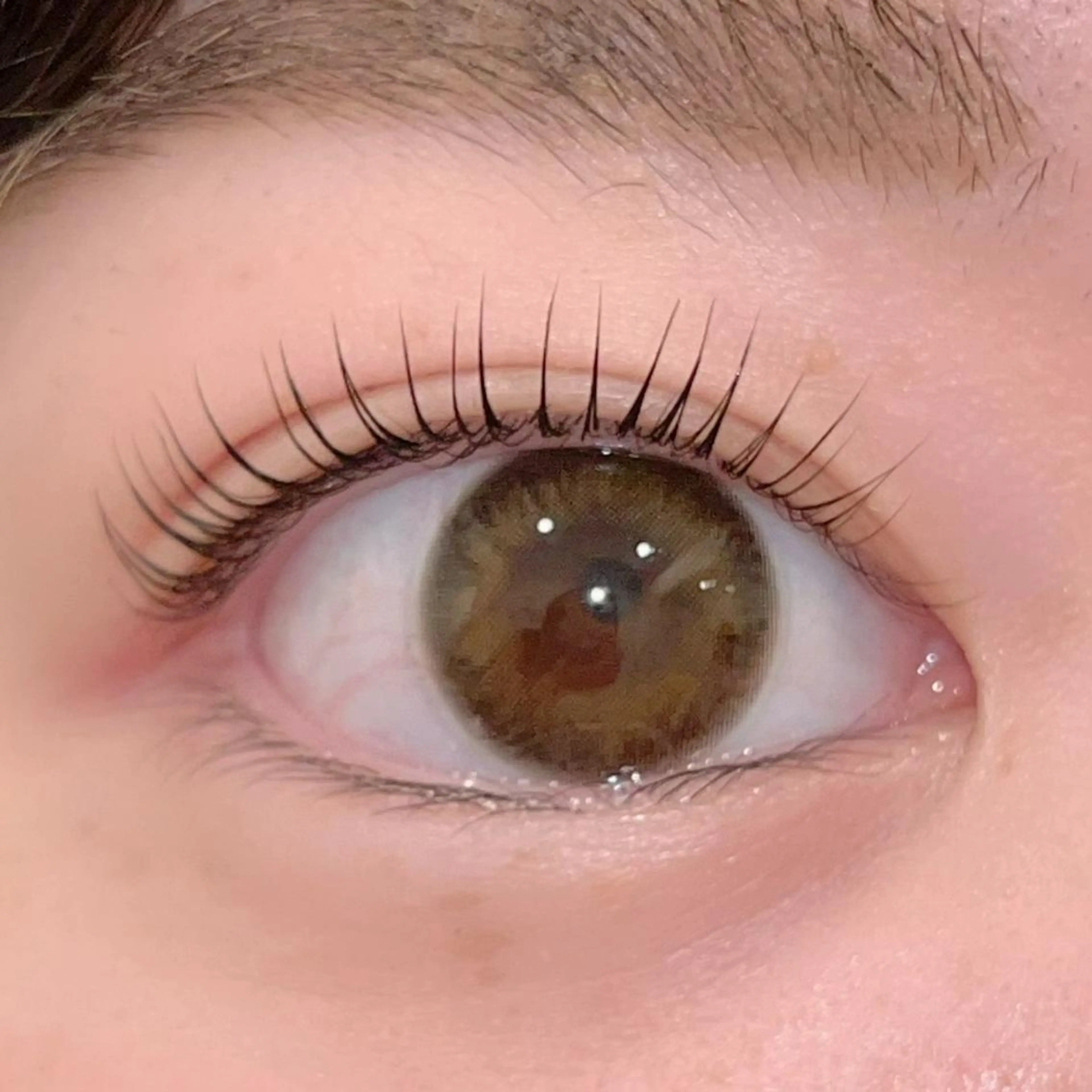 マツエク・マツパ キュート ナチュラル パリジェンヌラッシュリフト まつげパーマ ai一重専門🎀束感 まつげ🫧表参道のマツエク・マツパデザイン