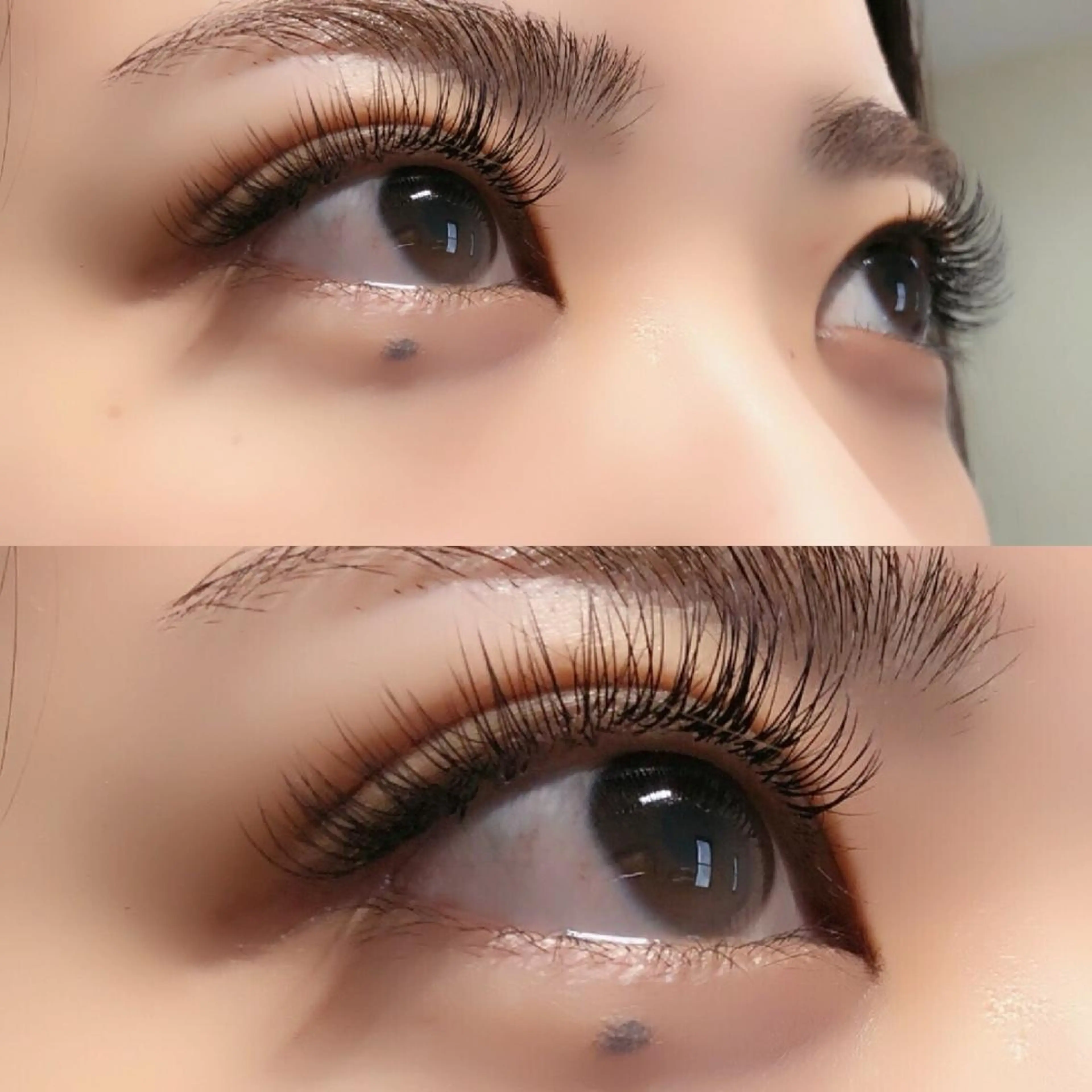 マツエク・マツパ セーブル Plume 逢坂のマツエク・マツパデザイン