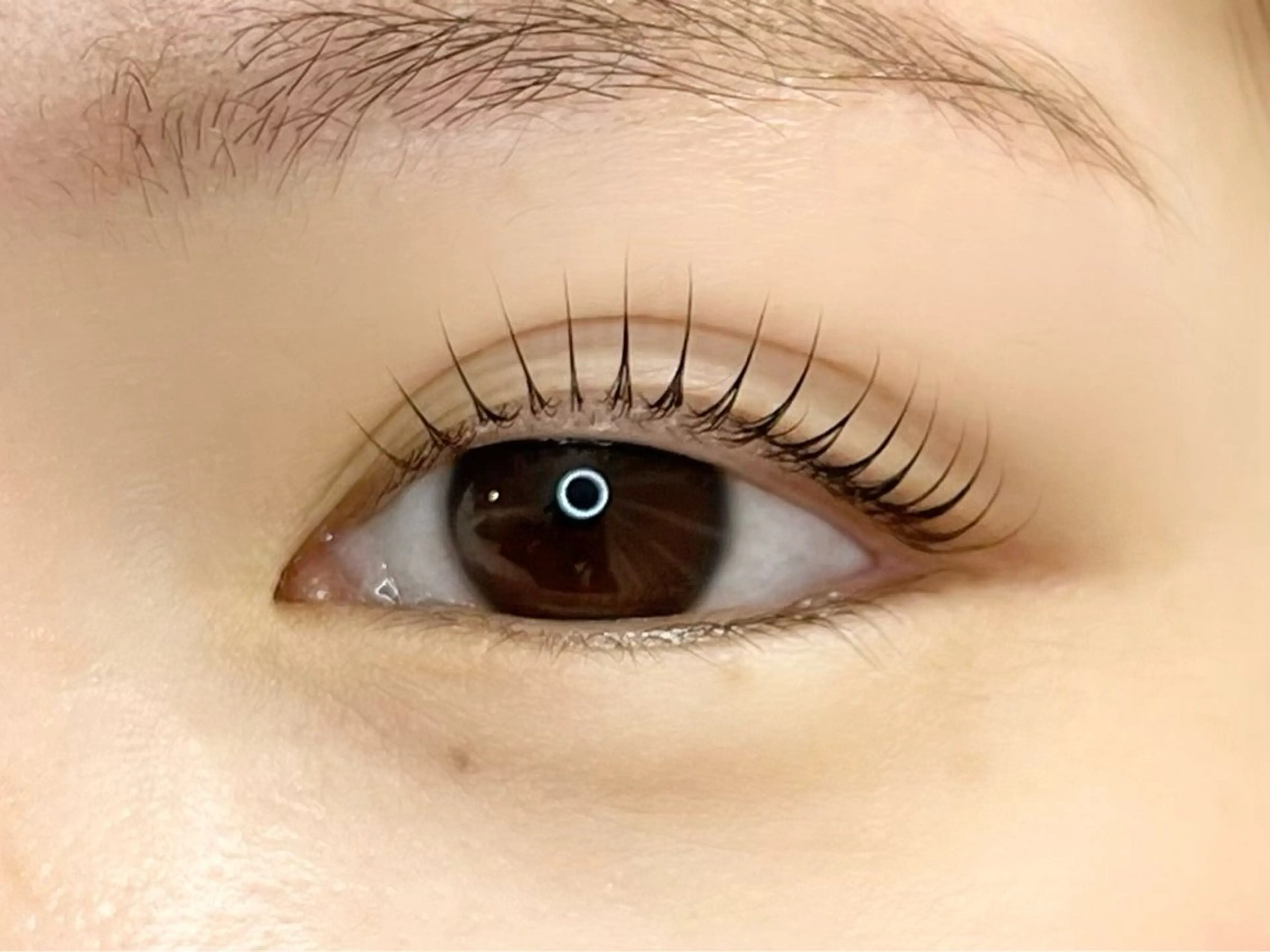 マツエク・マツパ Honey&Miel YUI🐱🐾のマツエク・マツパデザイン