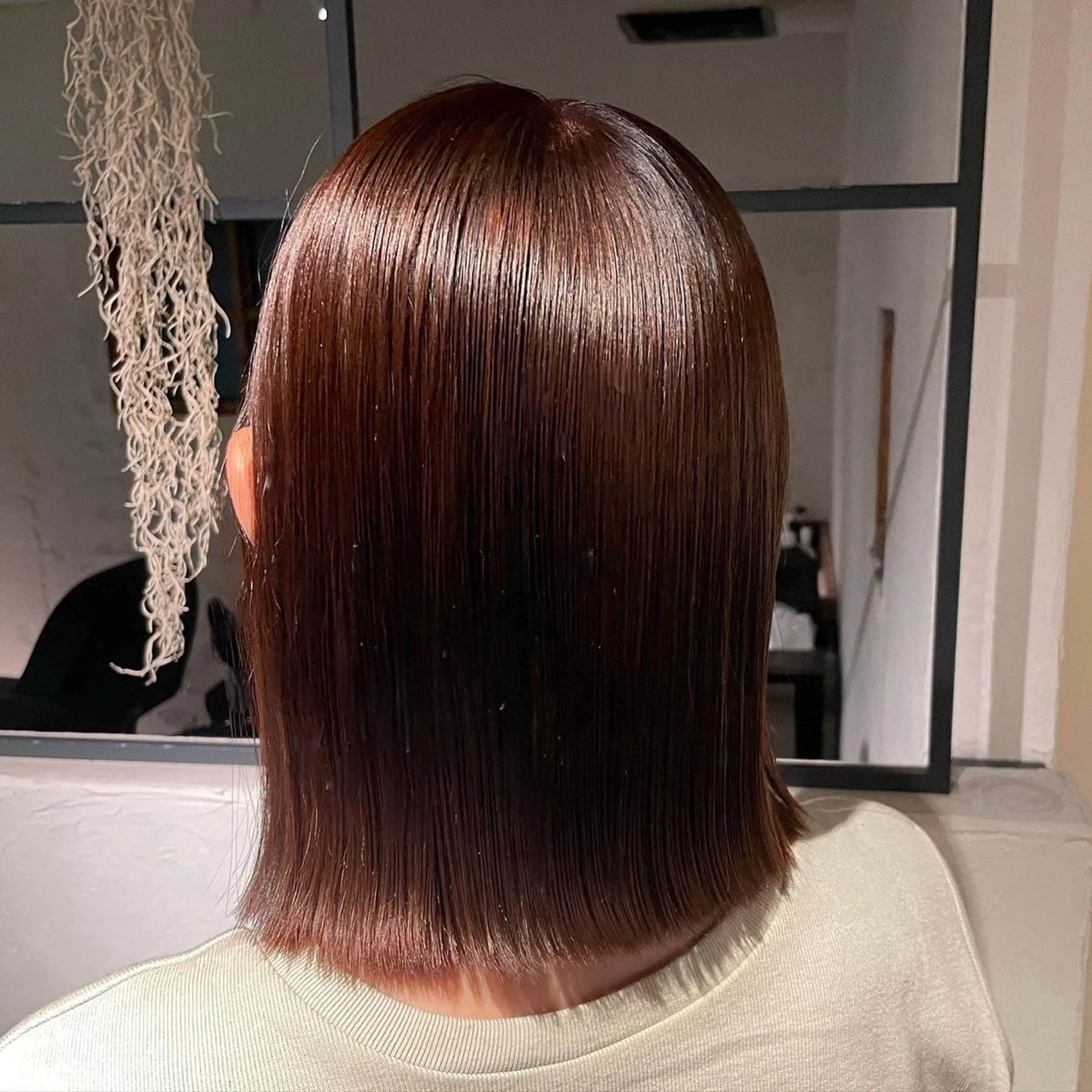 ミディアム カラー ⌇🌹透明感カラー 🌹ᴍᴇɢᴜᴍɪ ⌇のヘアスタイル