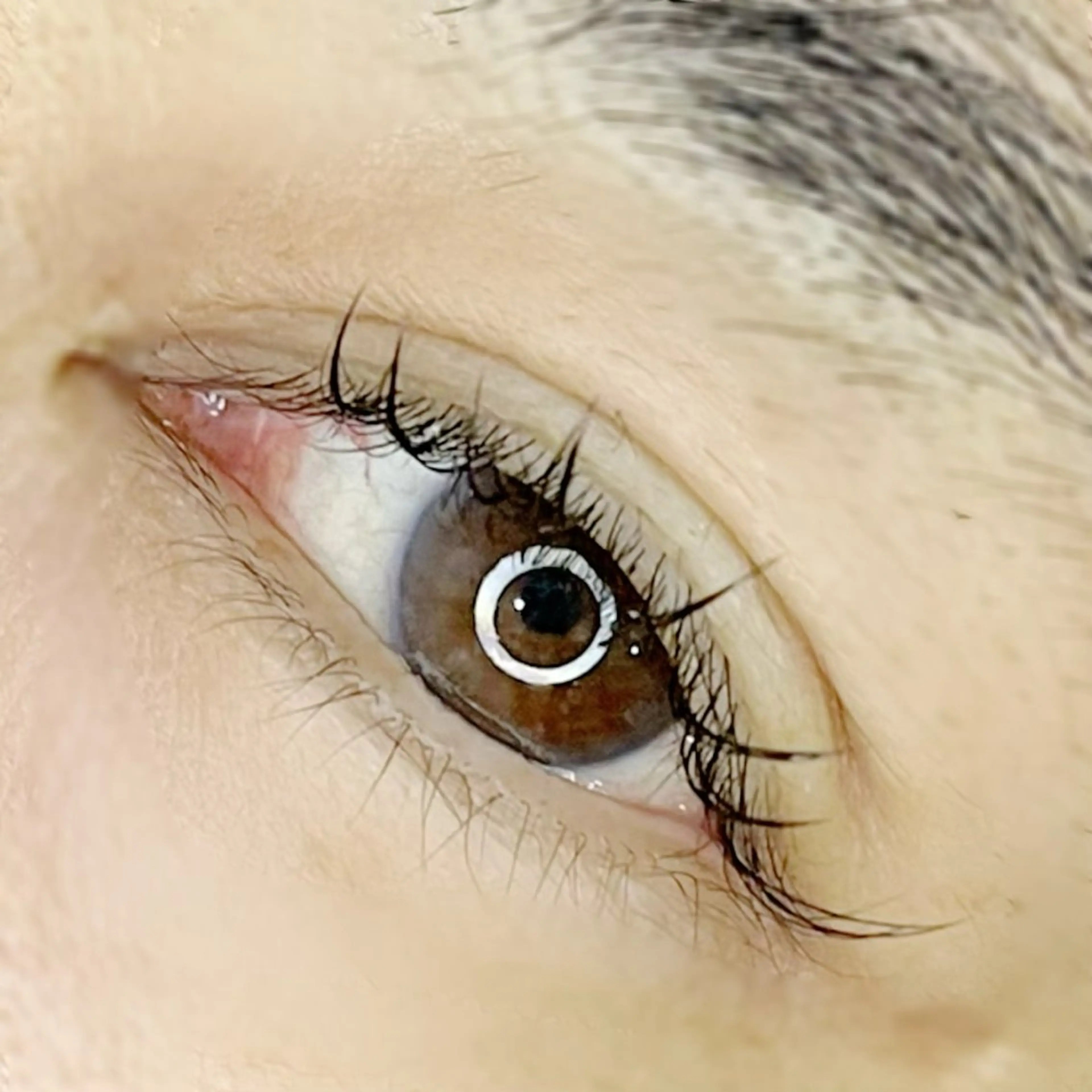 マツエク・マツパ 一重×まつ毛パーマ 幸手駅前Frays ‎🧡あやかのマツエク・マツパデザイン