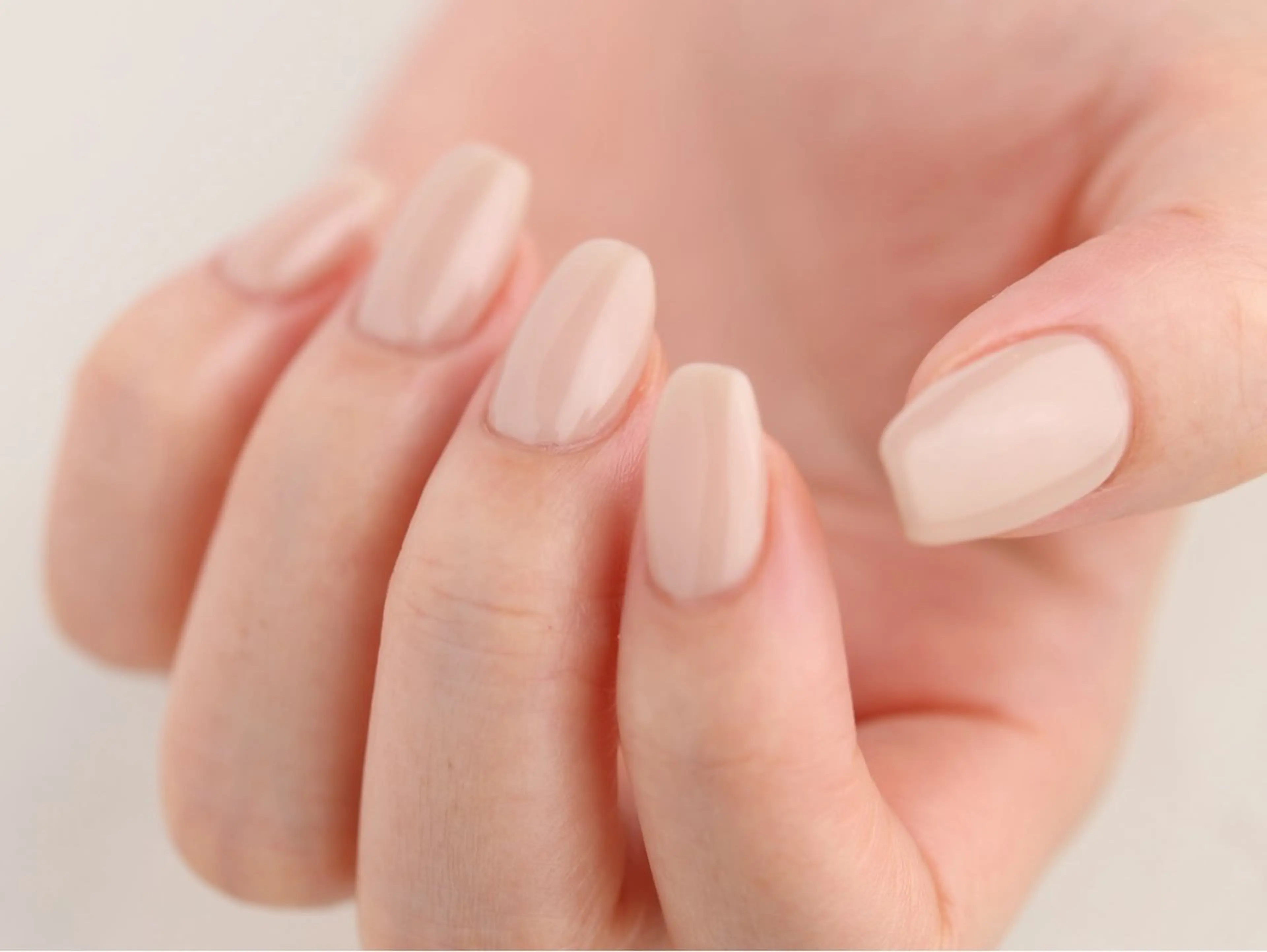 ネイル パラスパガーデン 渋谷店のネイルデザイン