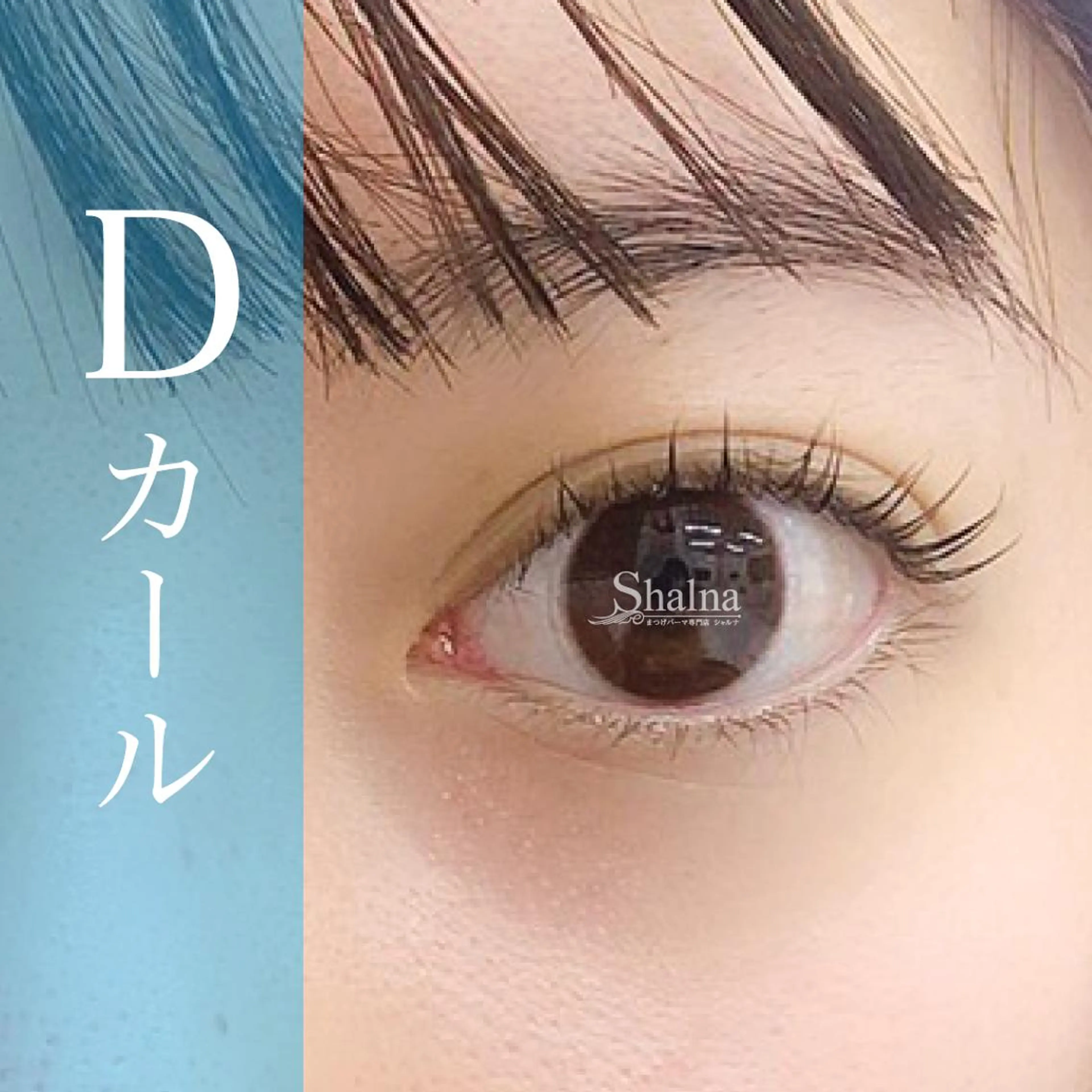 マツエク・マツパ Dカール まつげパーマ まつげパーマ専門店 シャルナ 岡山店のマツエク・マツパデザイン