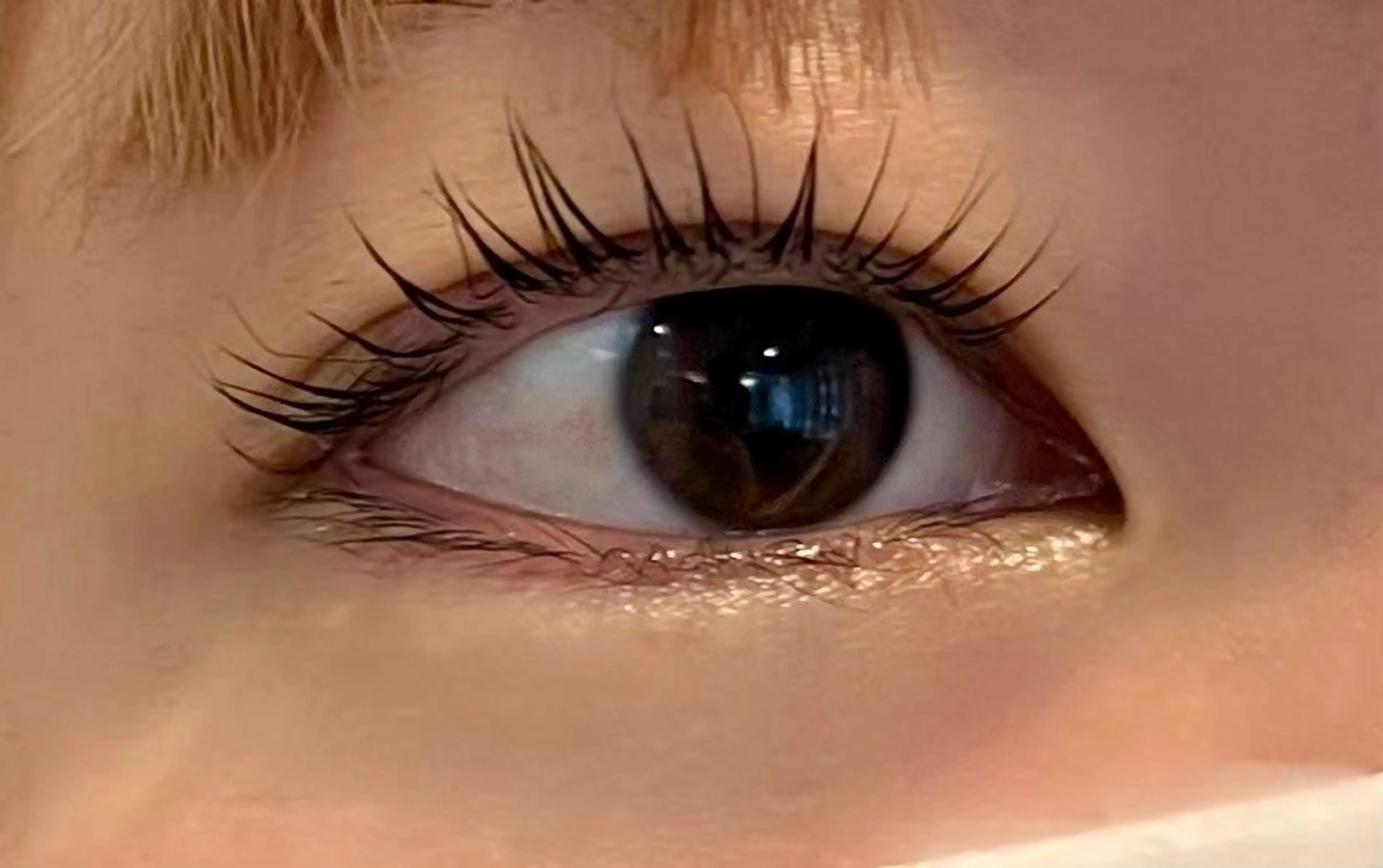 マツエク・マツパ マツパ 暖色カラー❤️横浜 エクステらん🦖のヘアスタイル