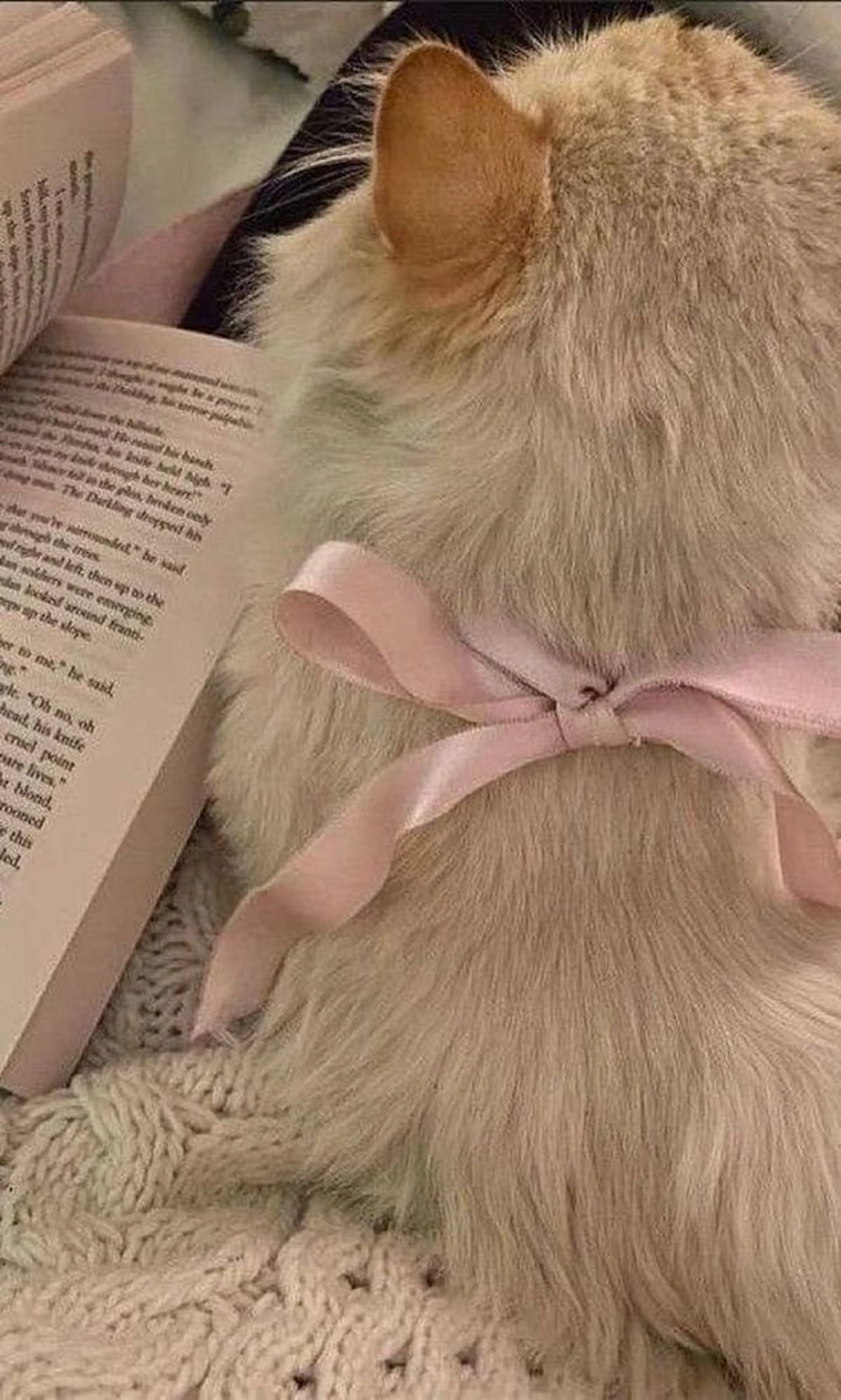 マツエク・マツパ 🎀eyelist. mizuki🐈‍⬛の眉毛・アイブロウイメージ