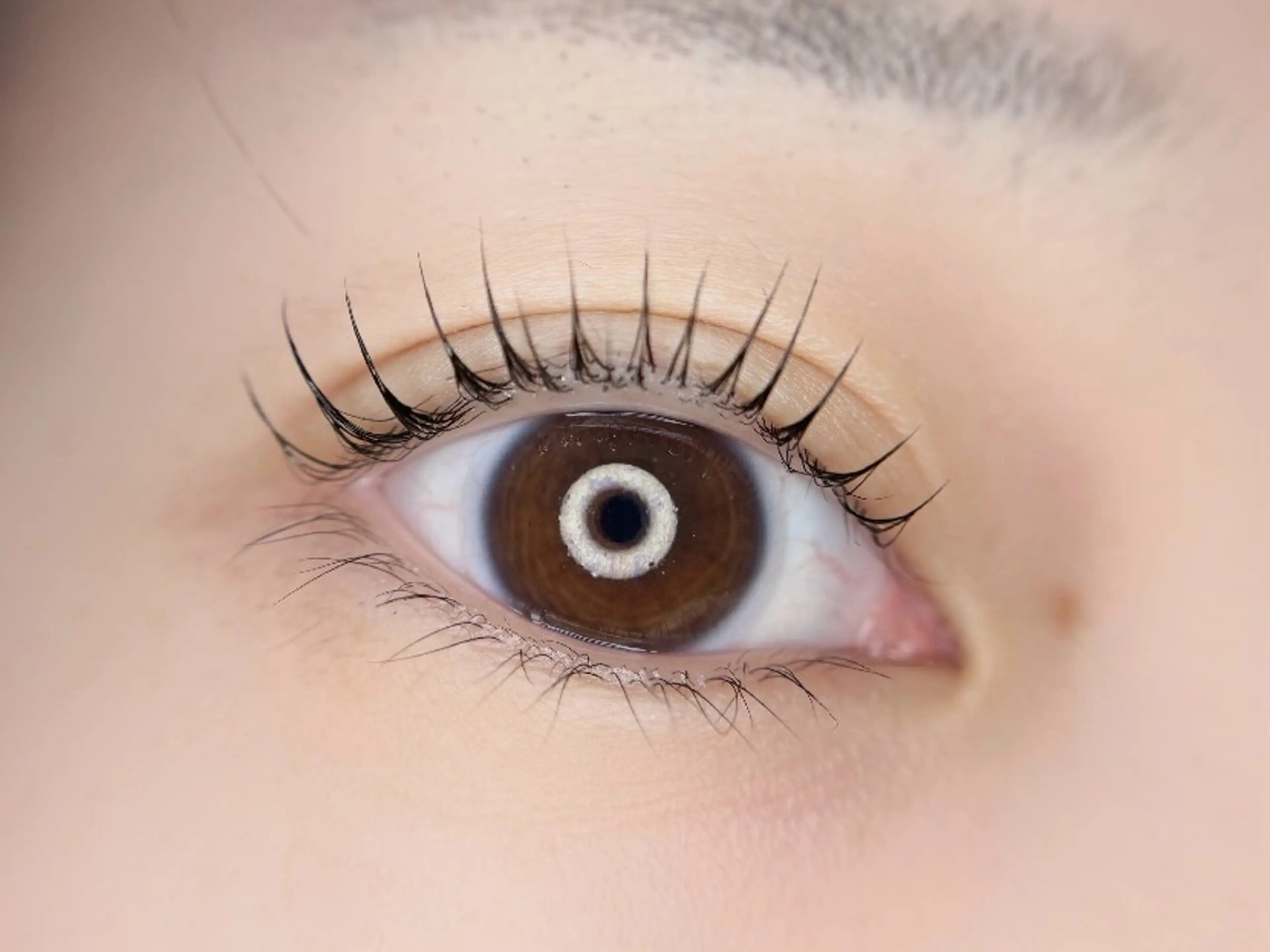 マツエク・マツパ 🦋MaaZlash 南流山FUKA🤍のマツエク・マツパデザイン