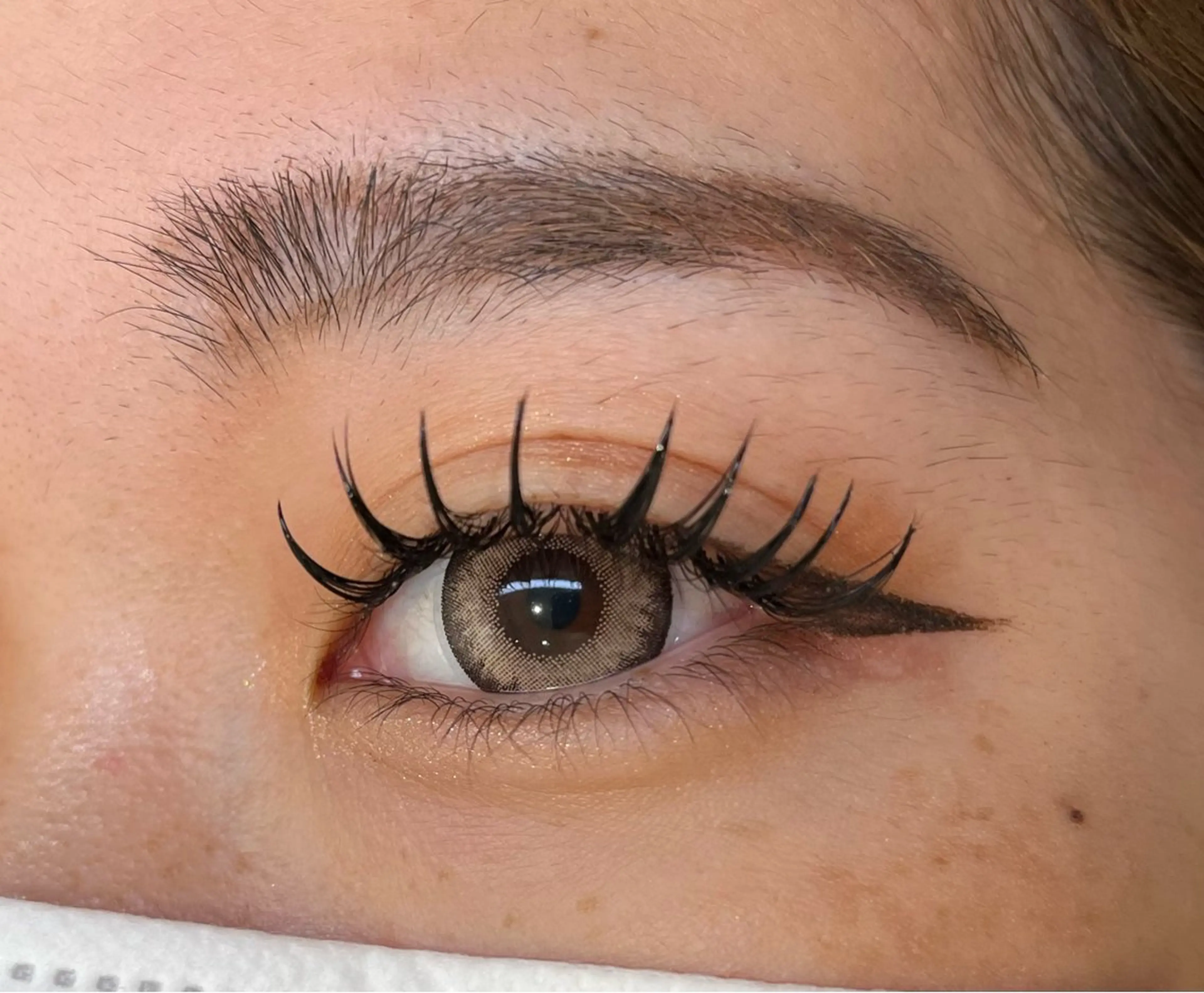 【オフ代込み】バインドロック140束🪽の写真