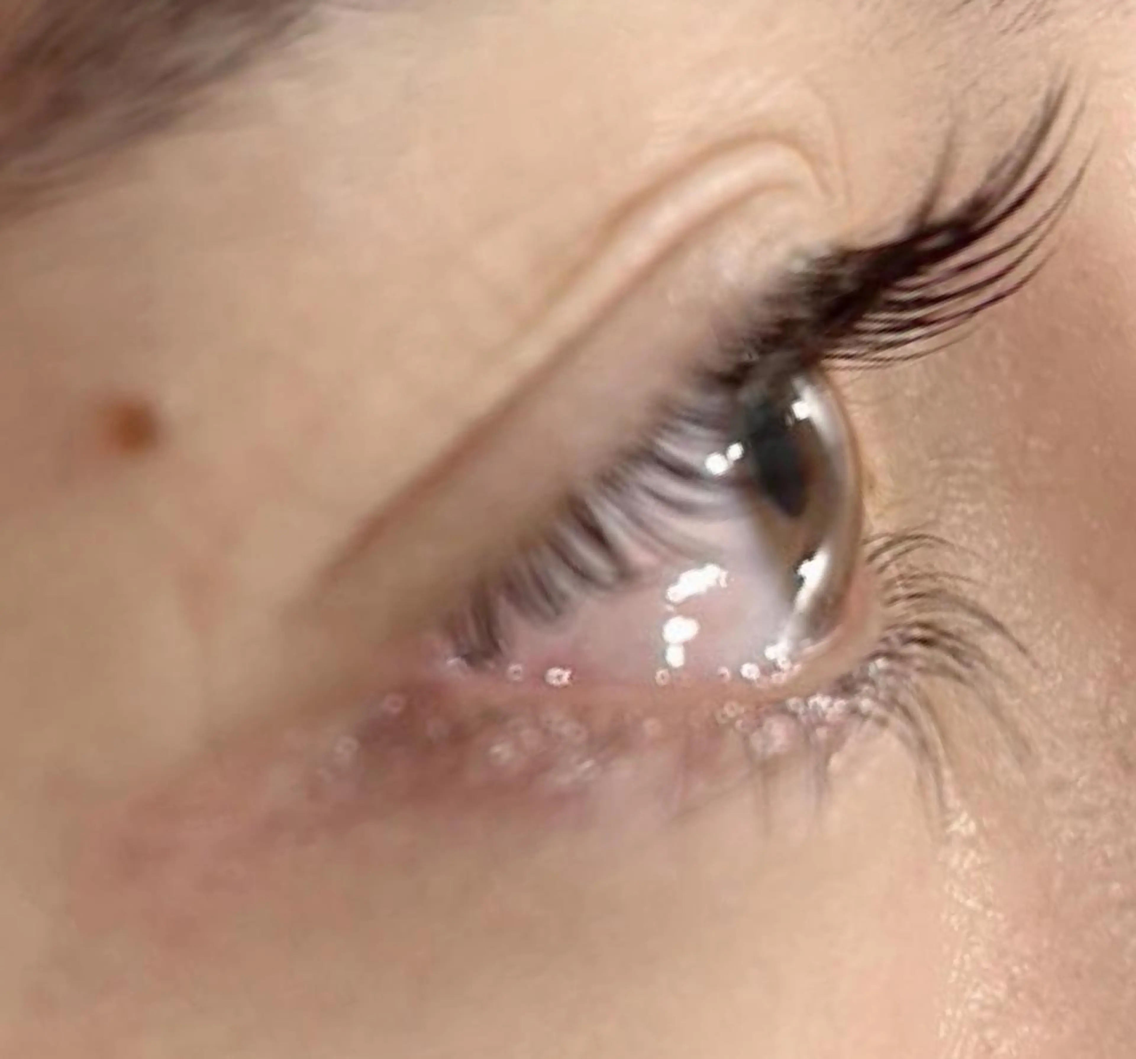 メンズ マツエク・マツパ メンズパーマ 一重×まつ毛パーマ DxD ディーディの眉毛・アイブロウイメージ