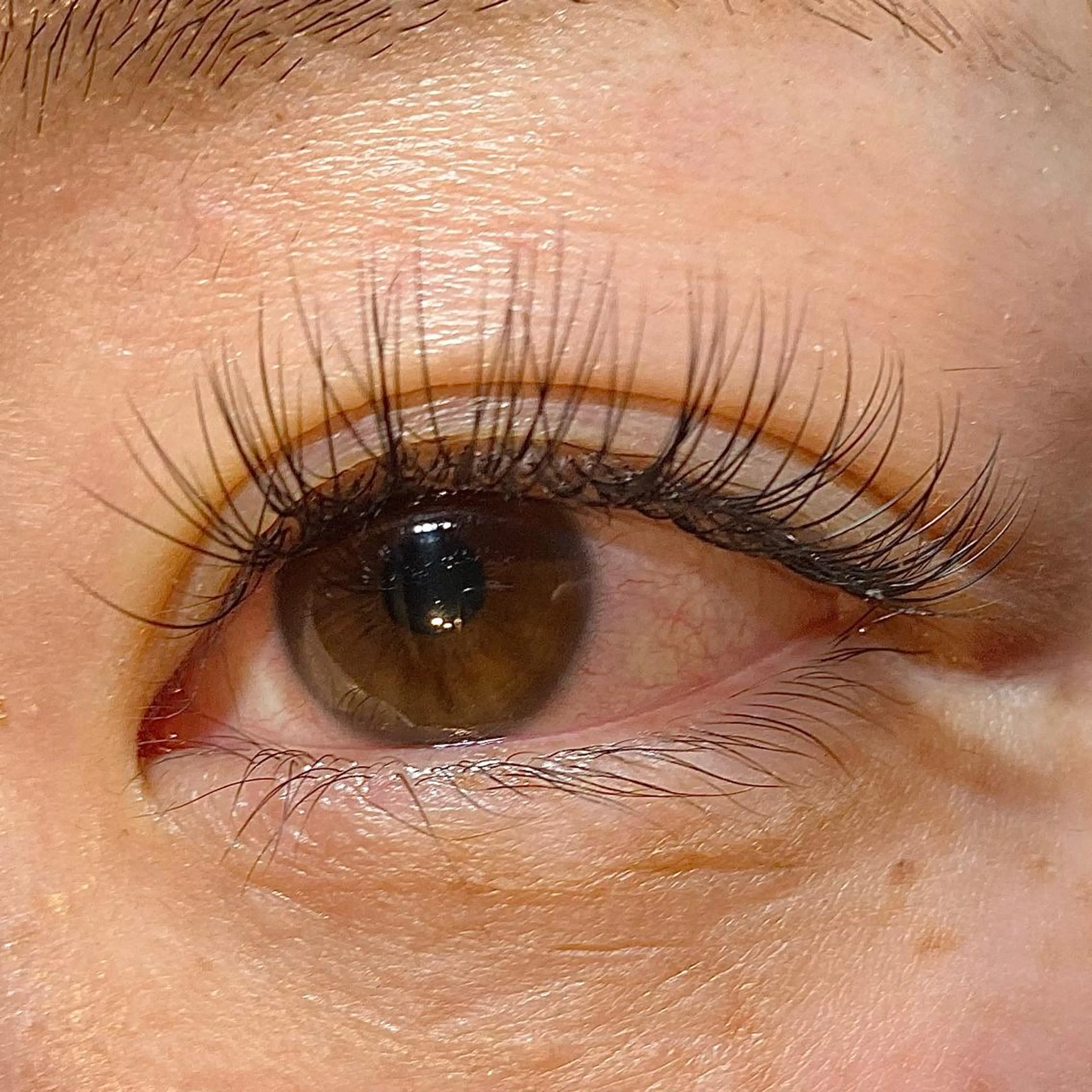 フラットラッシュ１６０本🌿　モチをよくするコーティング付🧺の写真