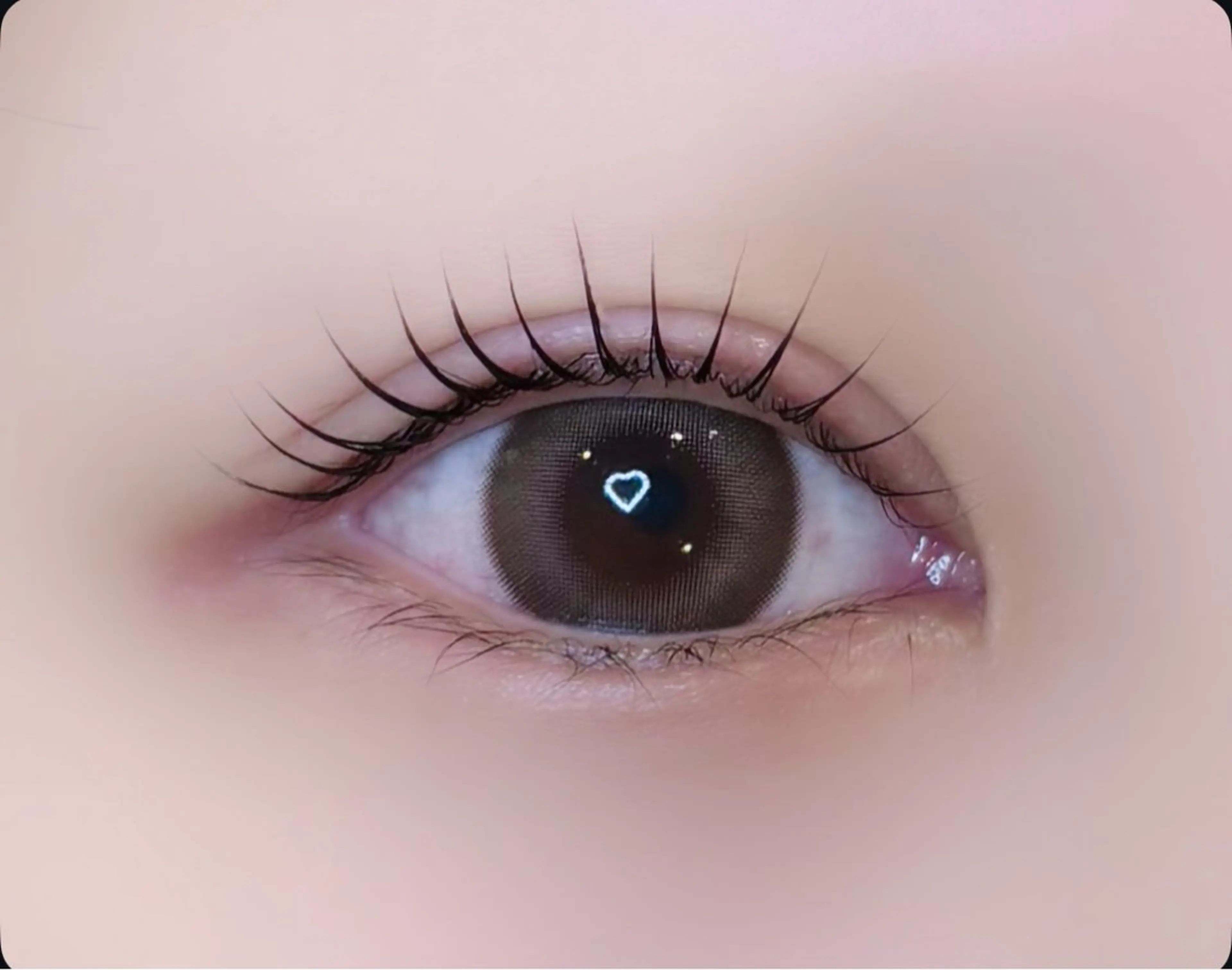 【２回目​〜​】次世代ラッシュリフトorパリジェンヌラッシュリフト❕の写真