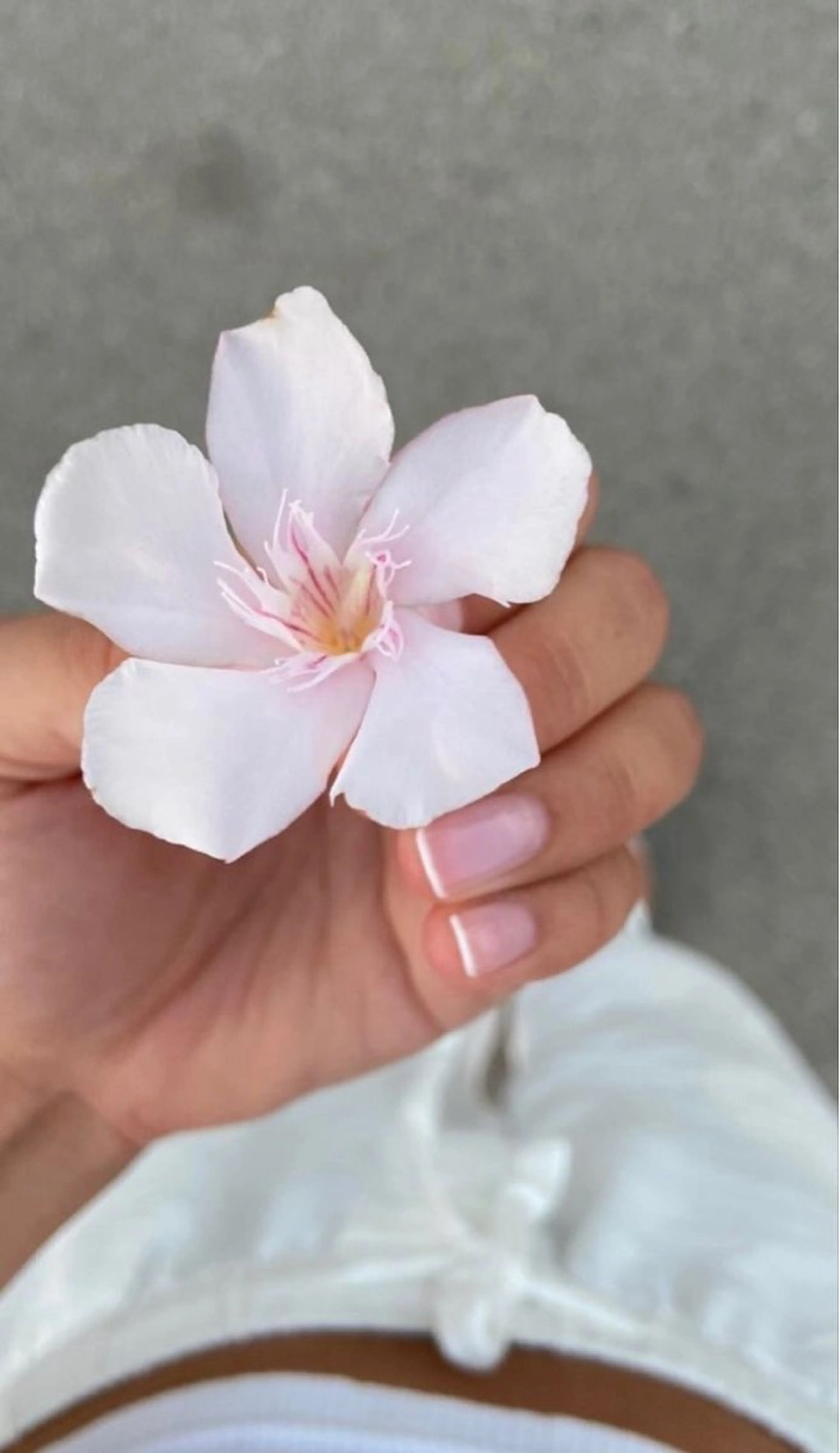 マツエク・マツパ aira LUANAのマツエク・マツパデザイン