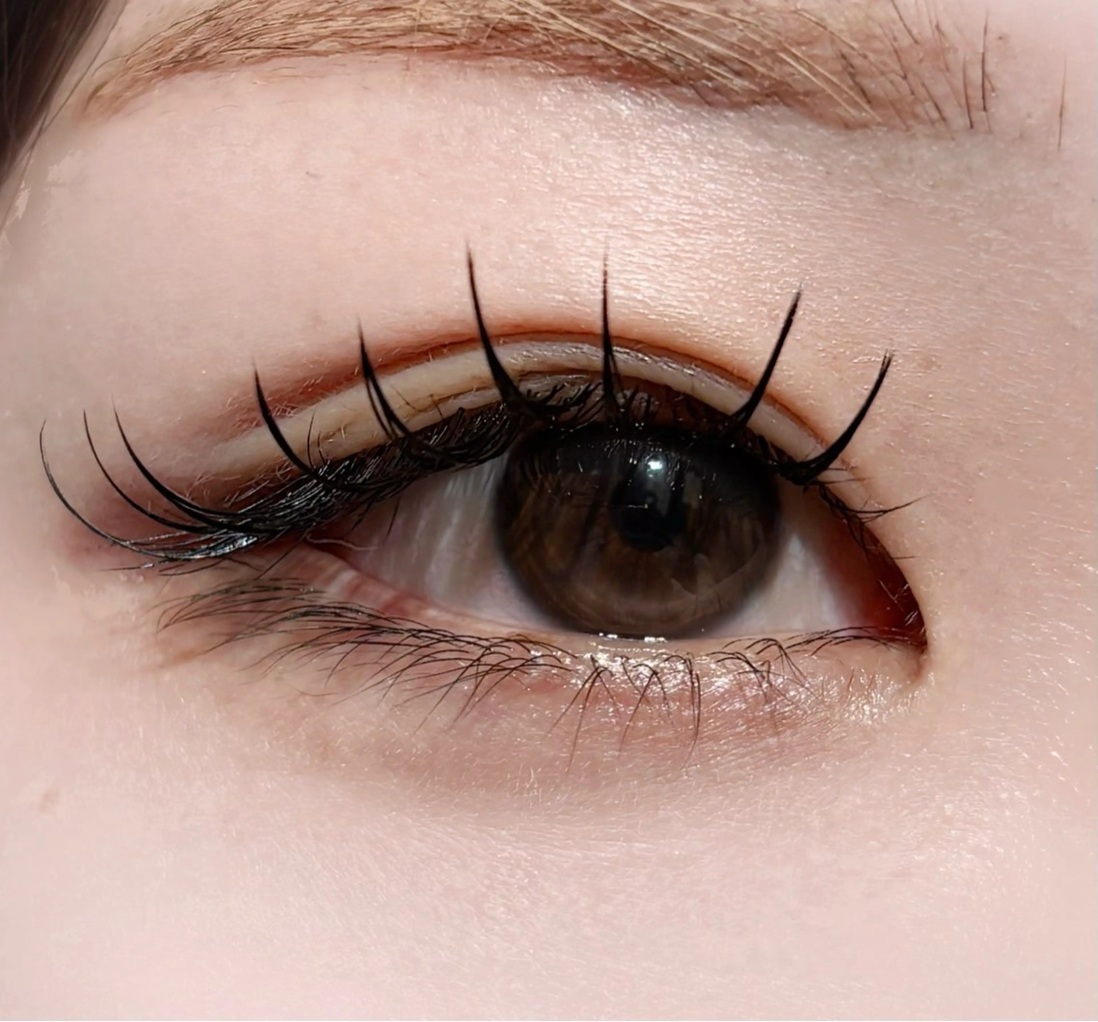 今だけ限定🌟フラットラッシュ上100~120本(OFFなし)の写真