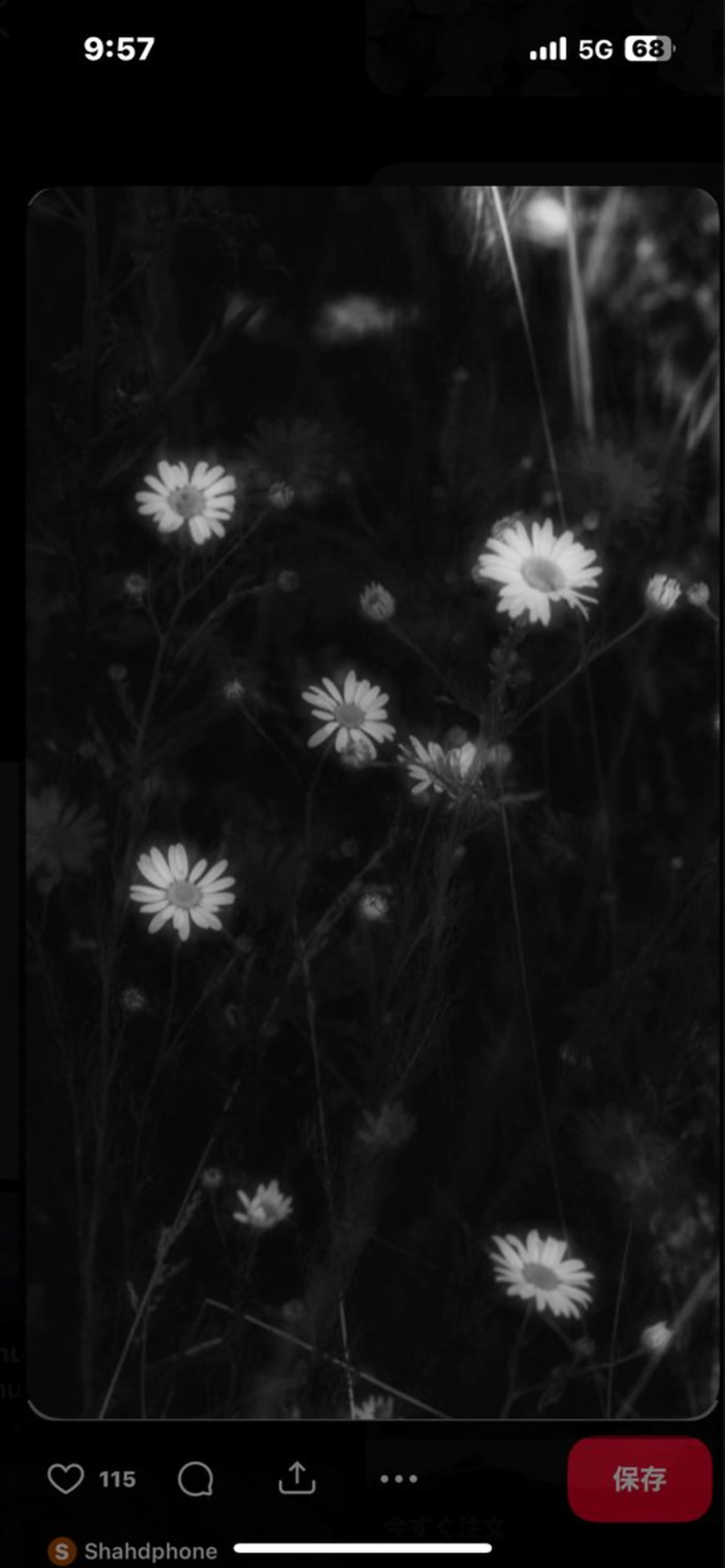 Mana ·͜·ᰔᩚのマツエク・マツパデザイン