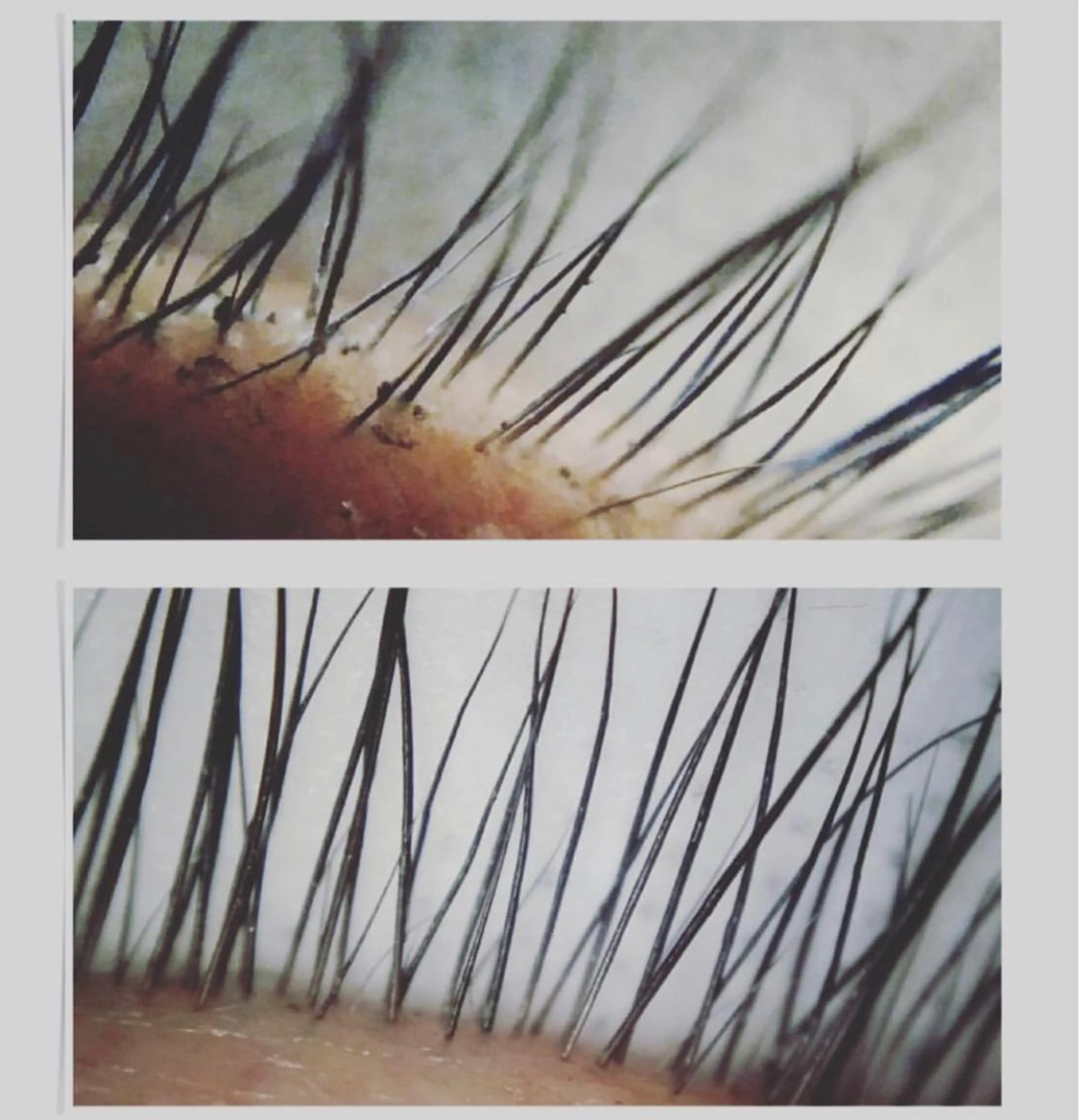 マツエク・マツパ churara チュララのマツエク・マツパデザイン