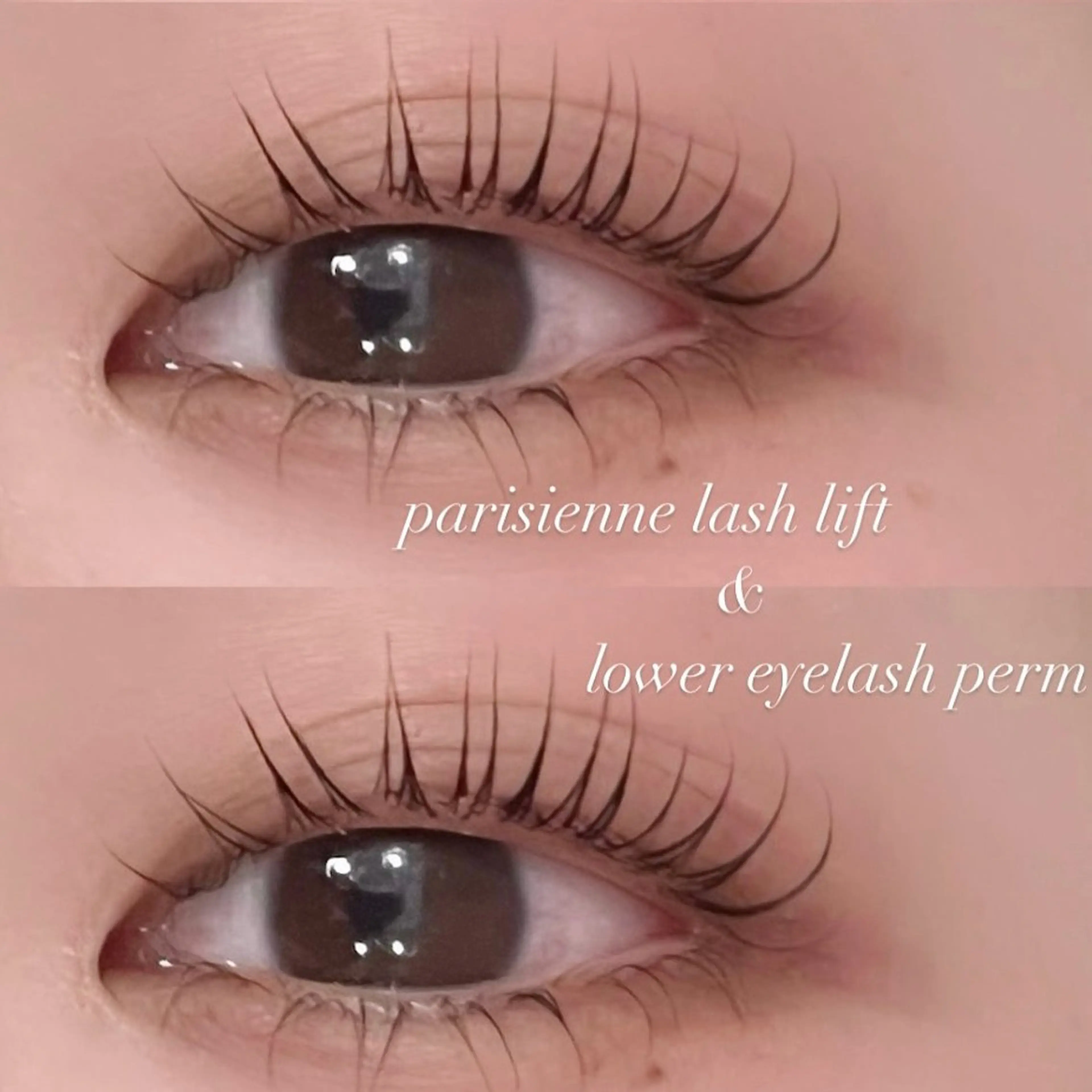 【上下メニュー】パリジェンヌラッシュリフトorまつ毛パーマの写真