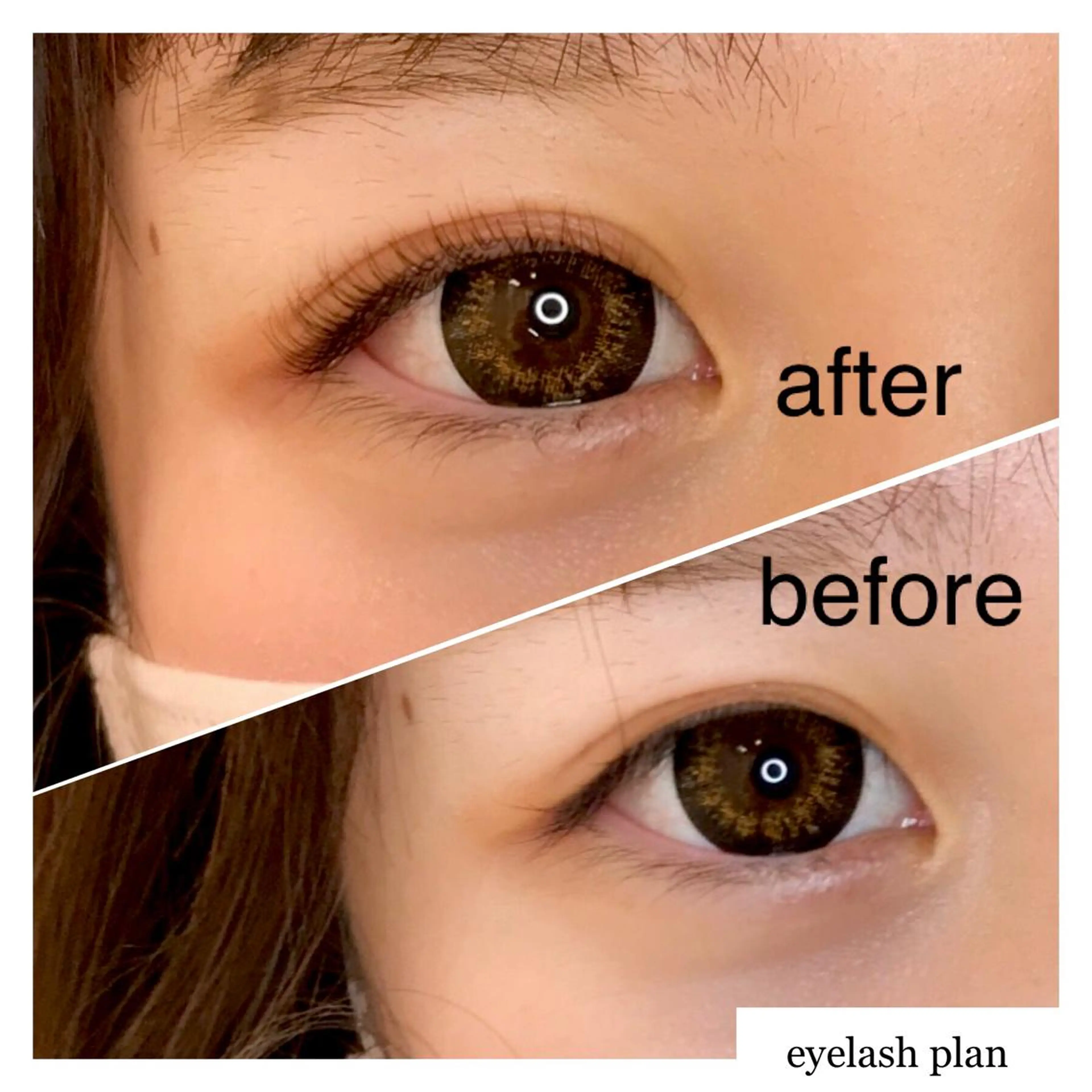 マツエク・マツパ 《eyelash ｉｉｔｅ》森のマツエク・マツパデザイン