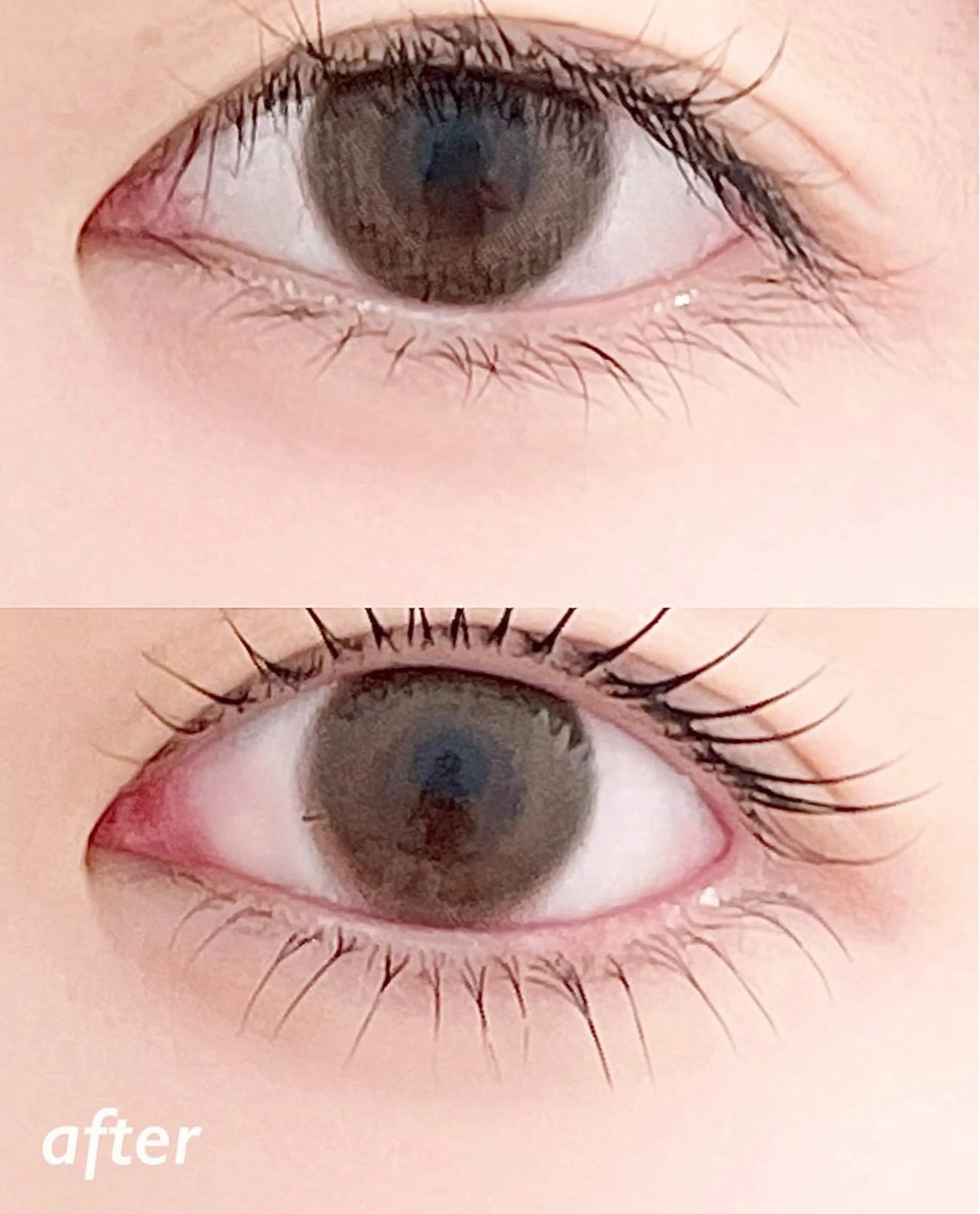 マツエク・マツパ 原宿まつ毛パーマ専門 🎀アイリストのマツエク・マツパデザイン