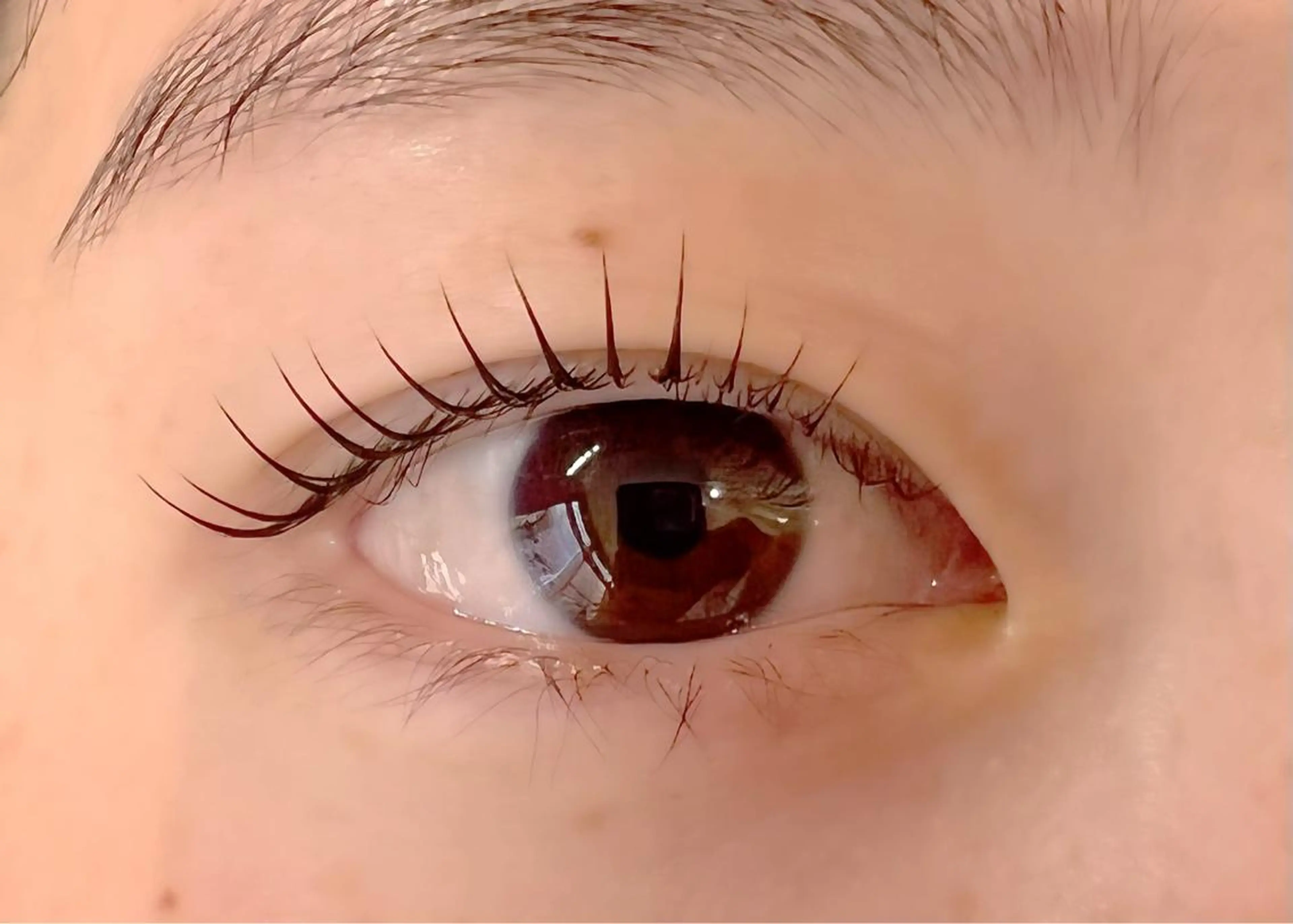 マツエク・マツパ ケラチンラッシュリフト 🧸Celeste Venusのマツエク・マツパデザイン