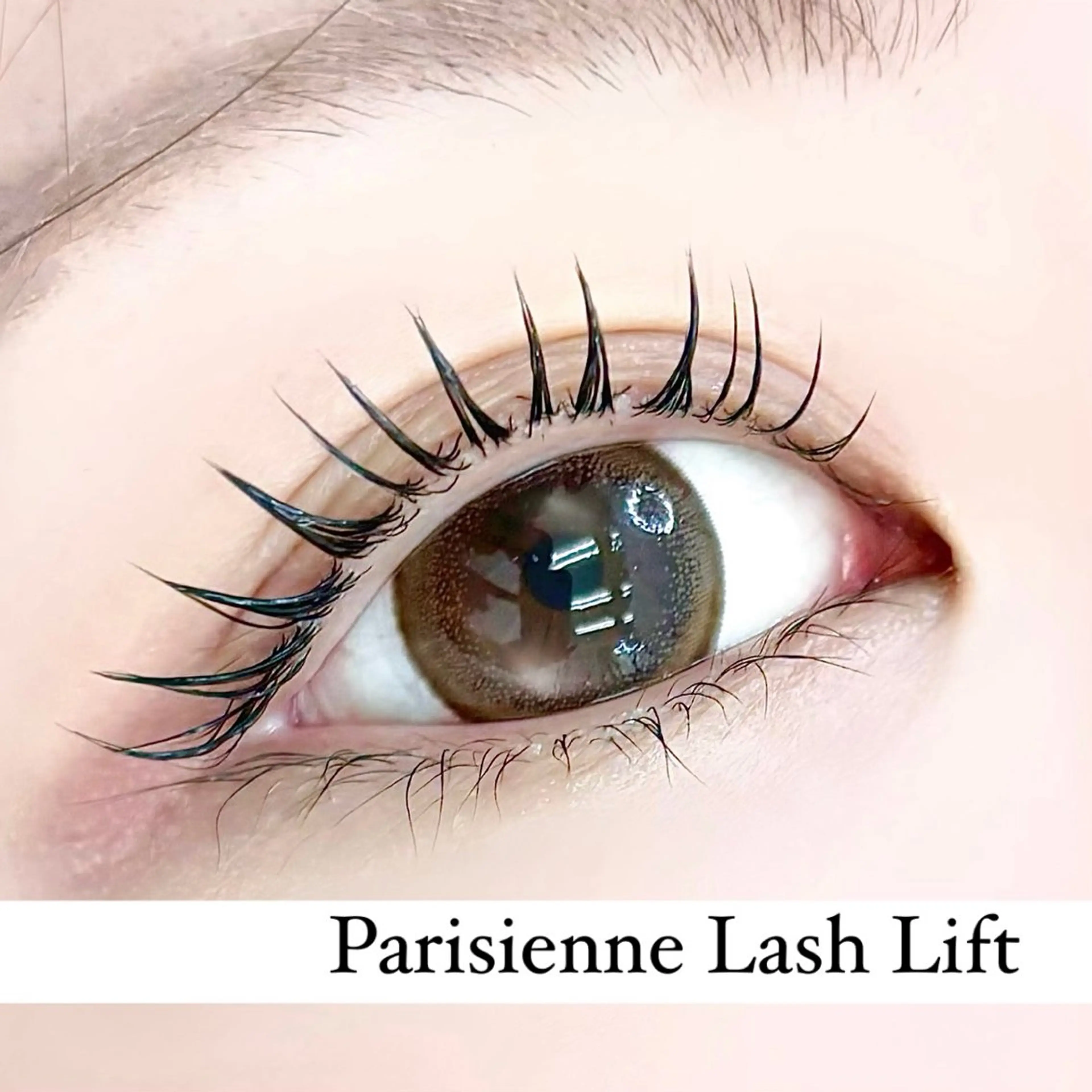 マツエク・マツパ パリジェンヌラッシュリフト まつげパーマ IVY-NUE HITOMIのマツエク・マツパデザイン