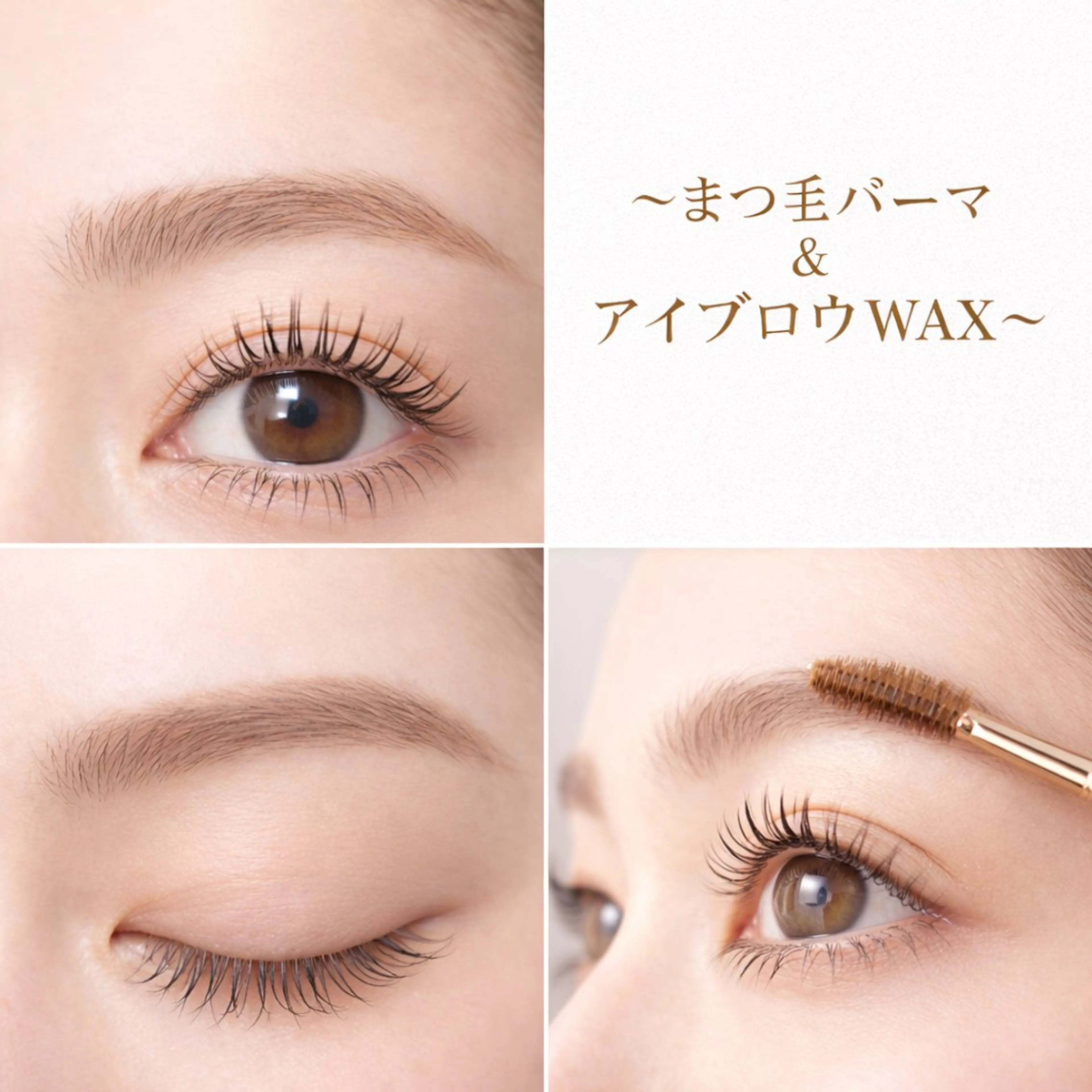 👯‍♂️新生活応援キャンペーン👯‍♂️マツパ＆アイブロウWAX❣️の写真