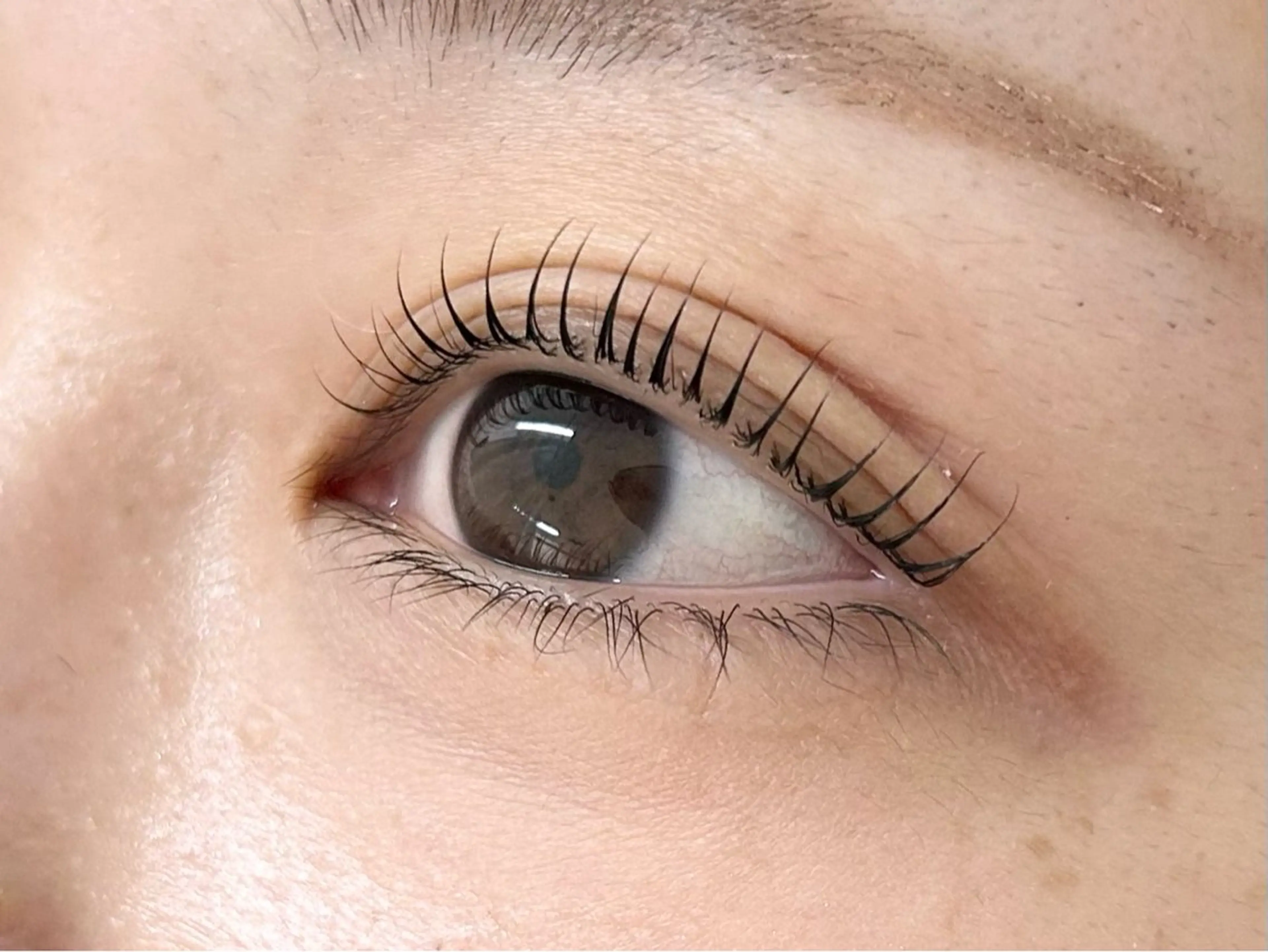 【minimo限定】パリジェンヌラッシュリフト【ケラチントリートメント仕上げ】の写真