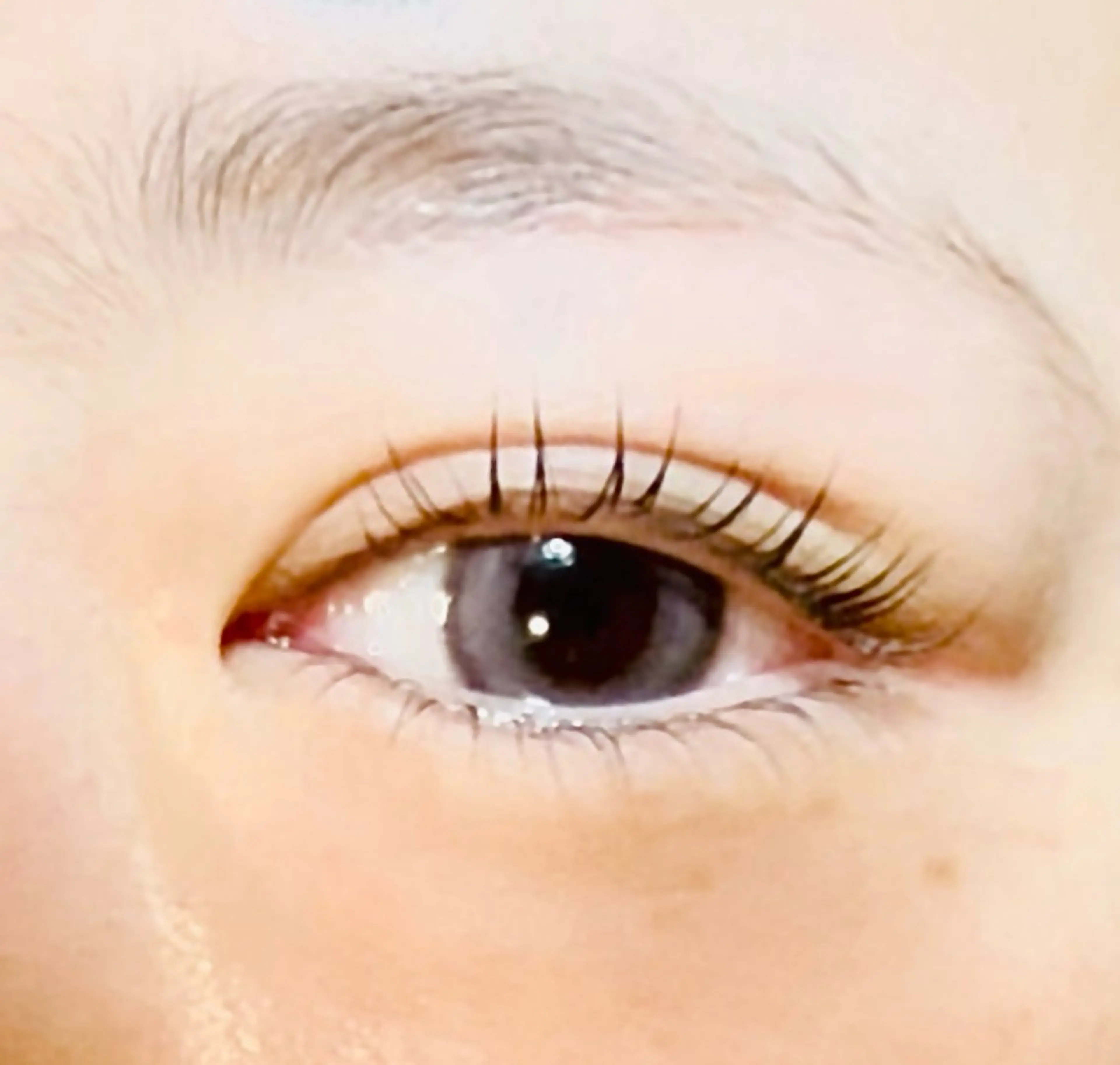 マツエク・マツパ パリジェンヌラッシュリフト アイブロウ/ アイリスト　北元優奈のマツエク・マツパデザイン