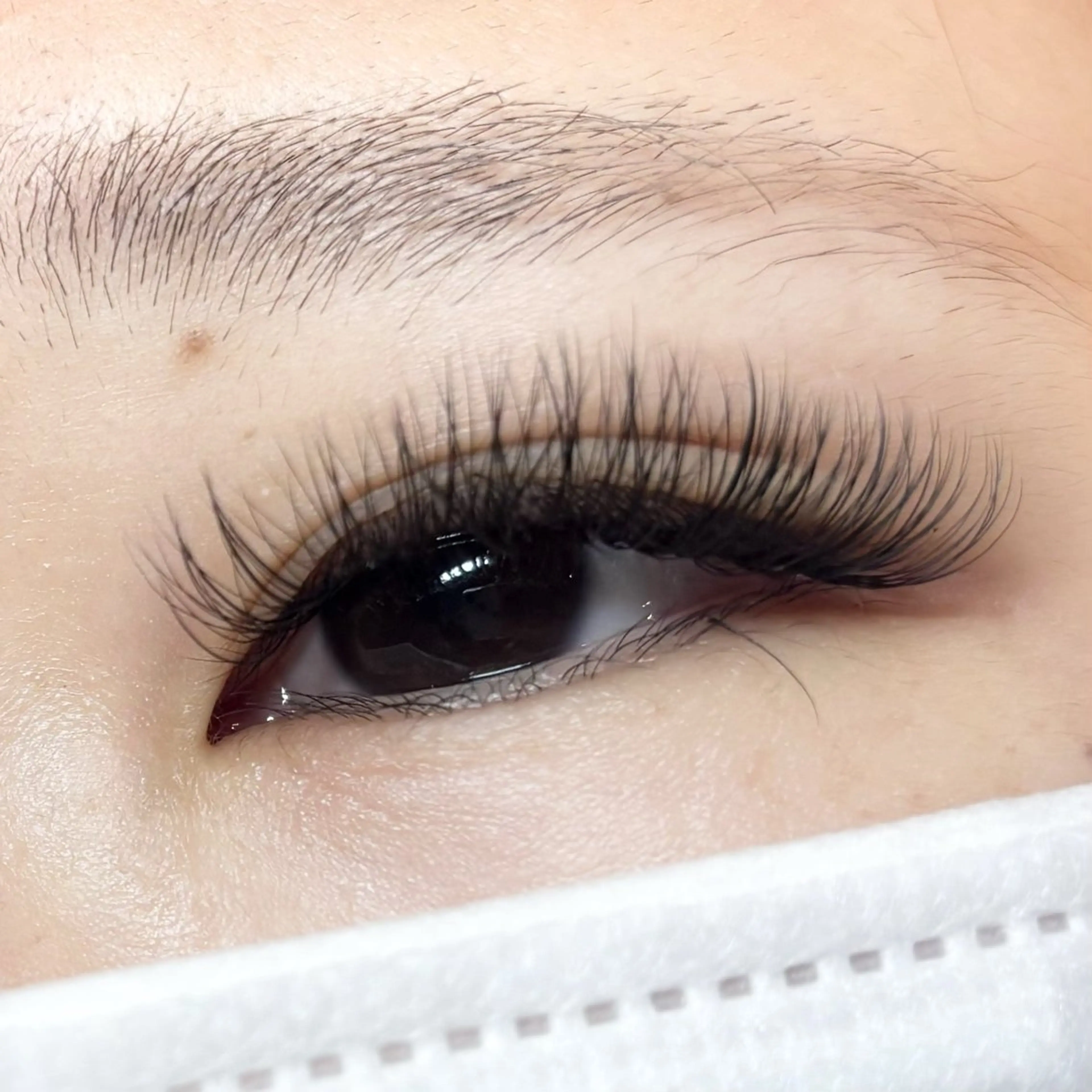 マツエク・マツパ マツエク 🎀韓国風 パリエク特化🎀りほのマツエク・マツパデザイン