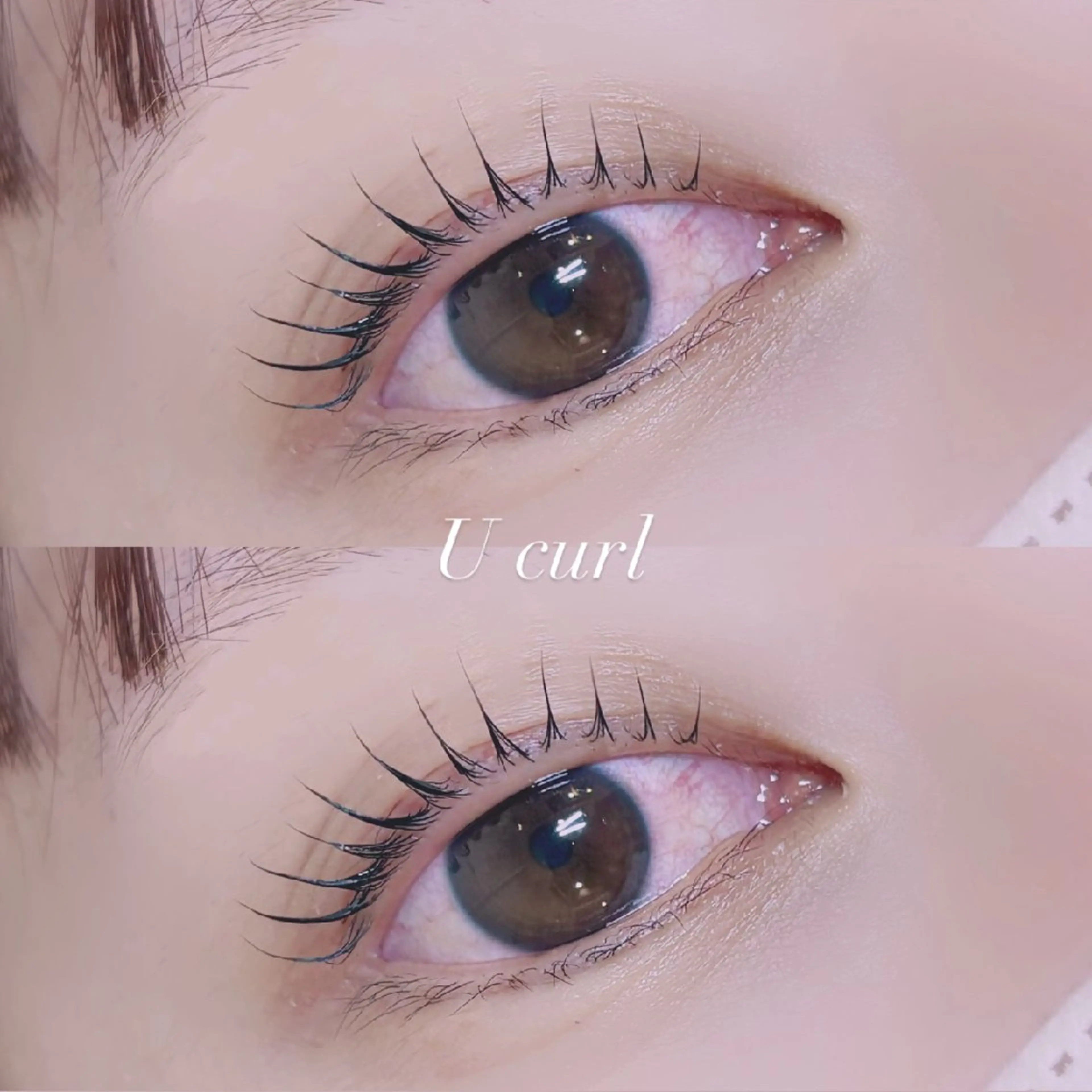 マツエク・マツパ マツパ 🐩Pupu lash🐩のマツエク・マツパデザイン