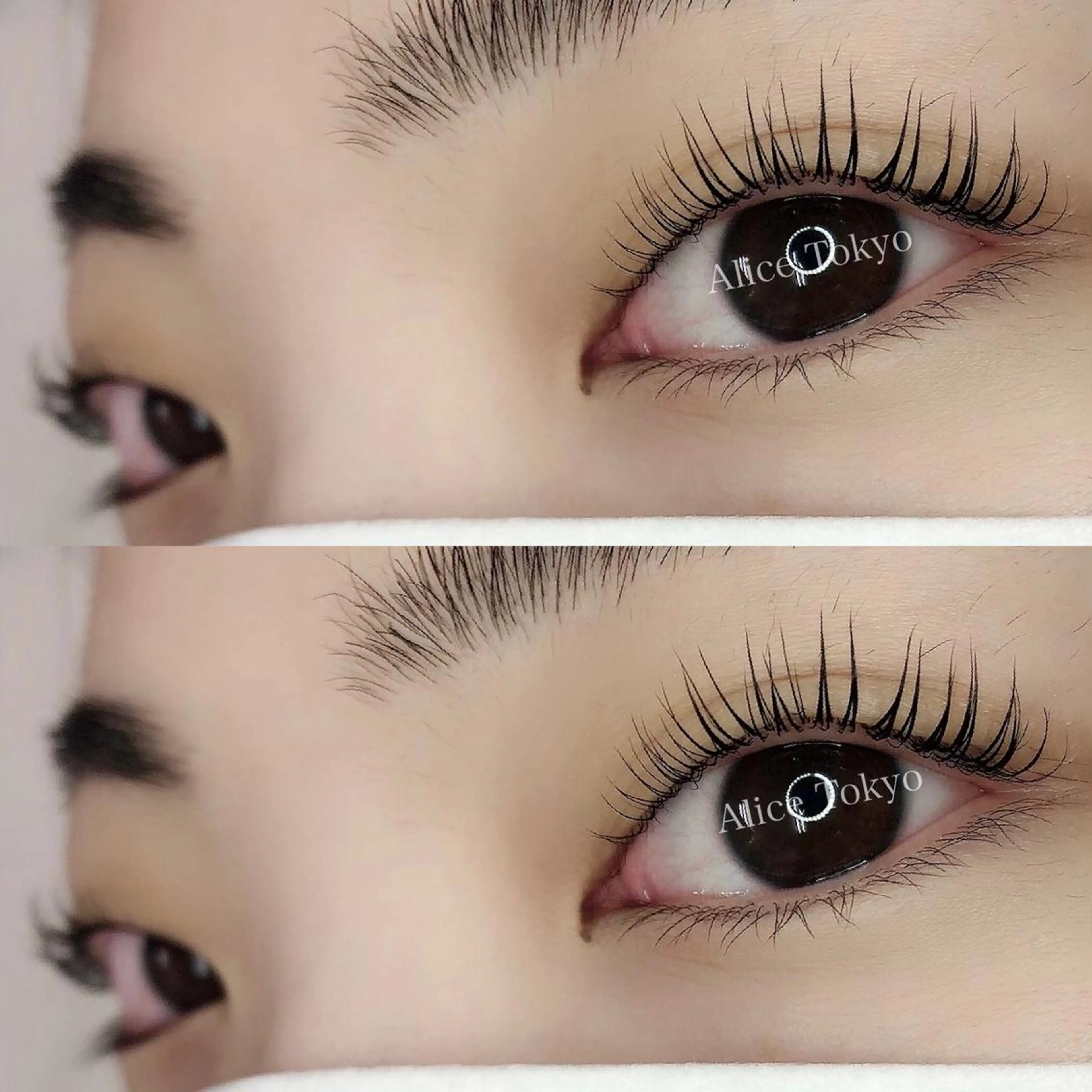 ご新規様限定★パリジェンヌ+最高級トリートメントの写真