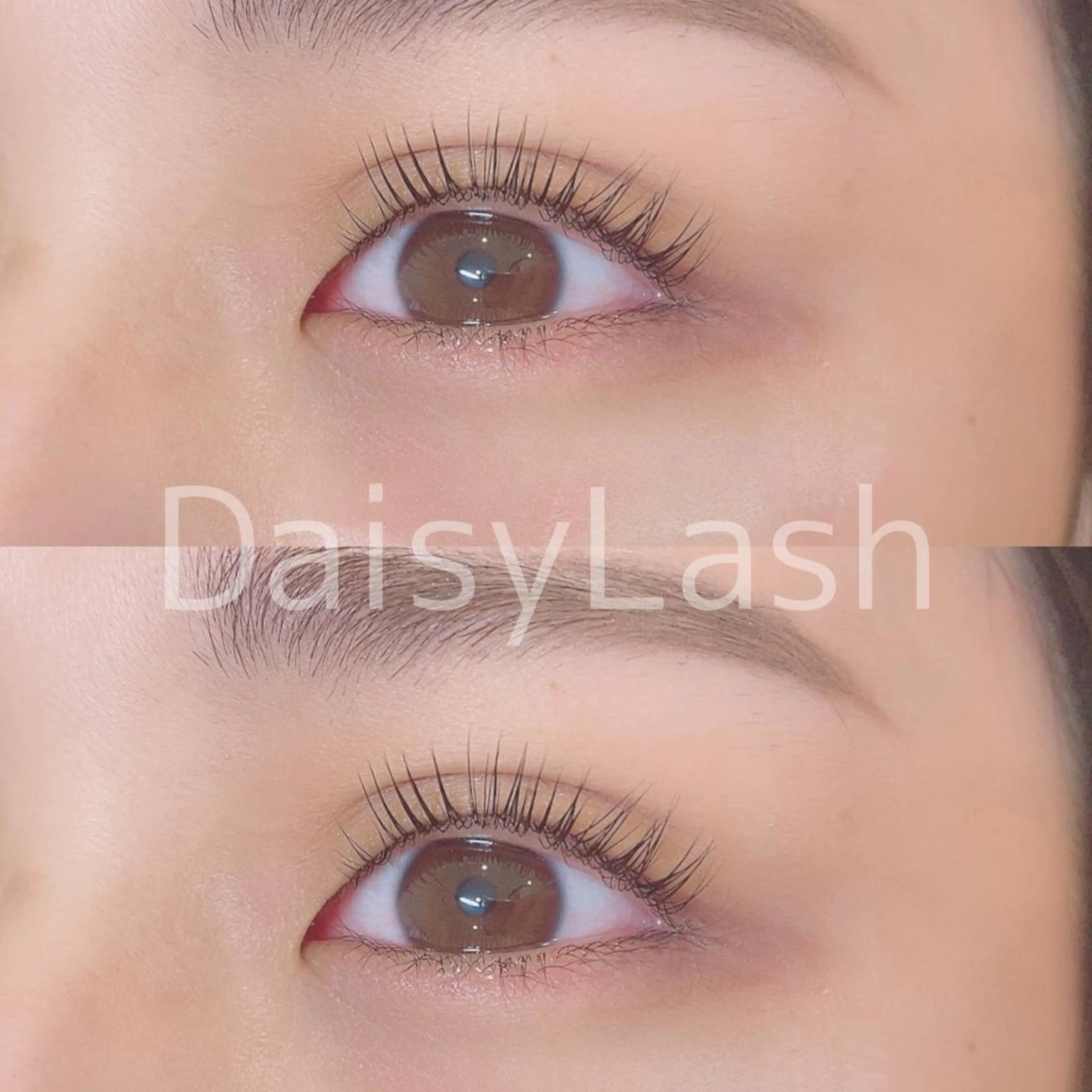 マツエク・マツパ DaisyLash 京橋店のマツエク・マツパデザイン