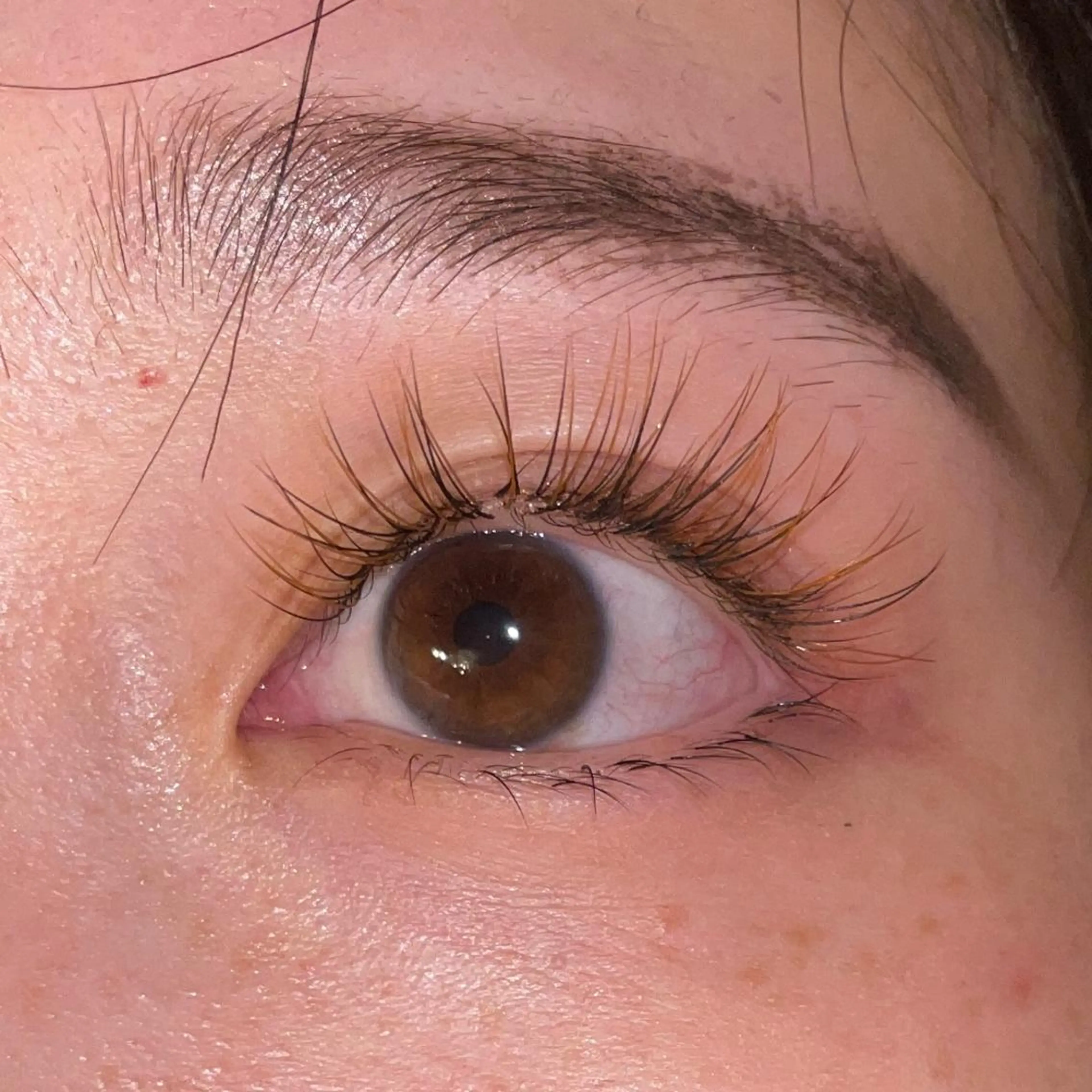 マツエク・マツパ sereno セレーノのマツエク・マツパデザイン