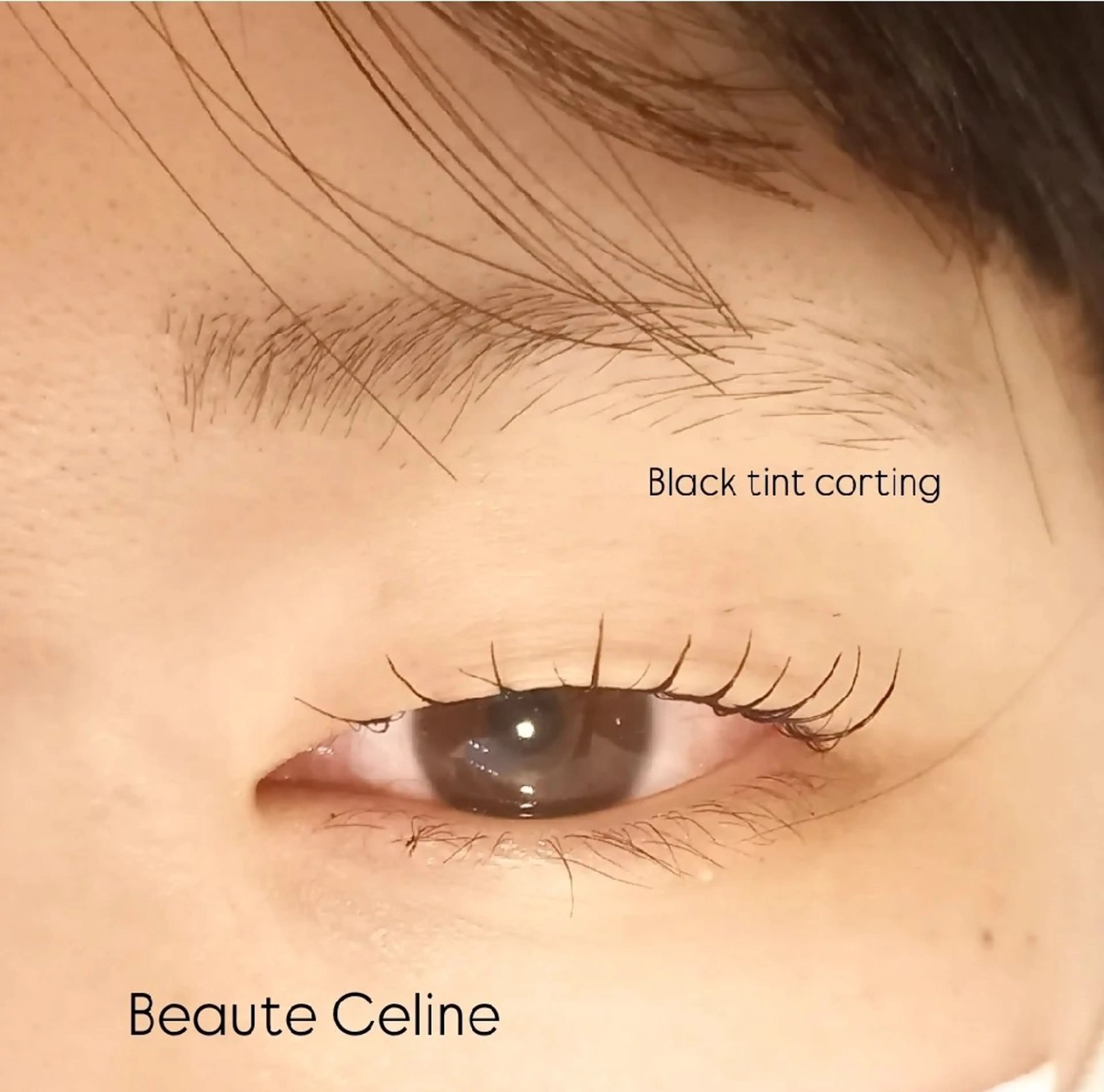 マツエク・マツパ マツパ 8時～✨beaute Celine🌛🌹のマツエク・マツパデザイン