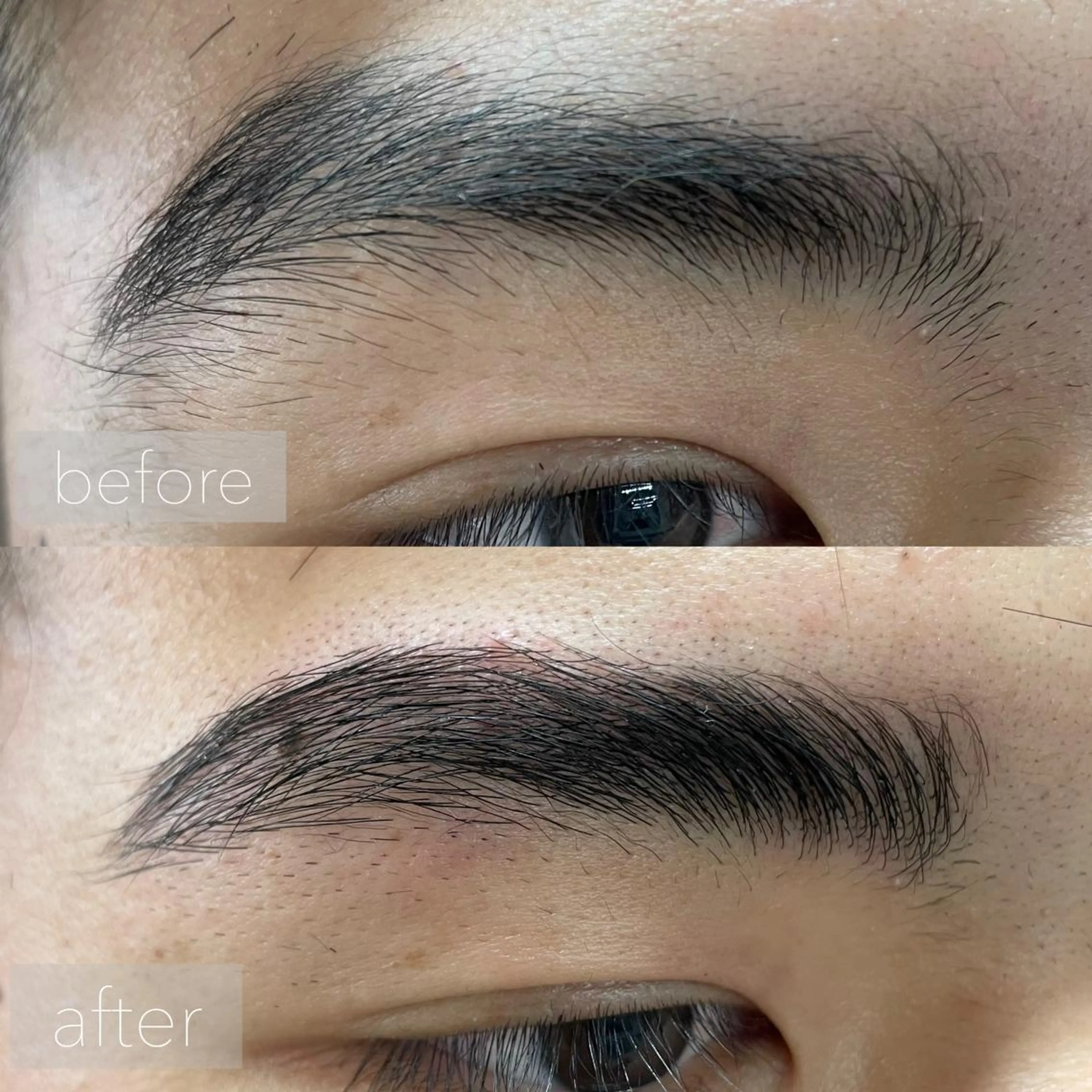 メンズ アイブロウ メンズアイブロウ 亀井隆汰/メンズ専門 パーマ特化美容師のヘアスタイル