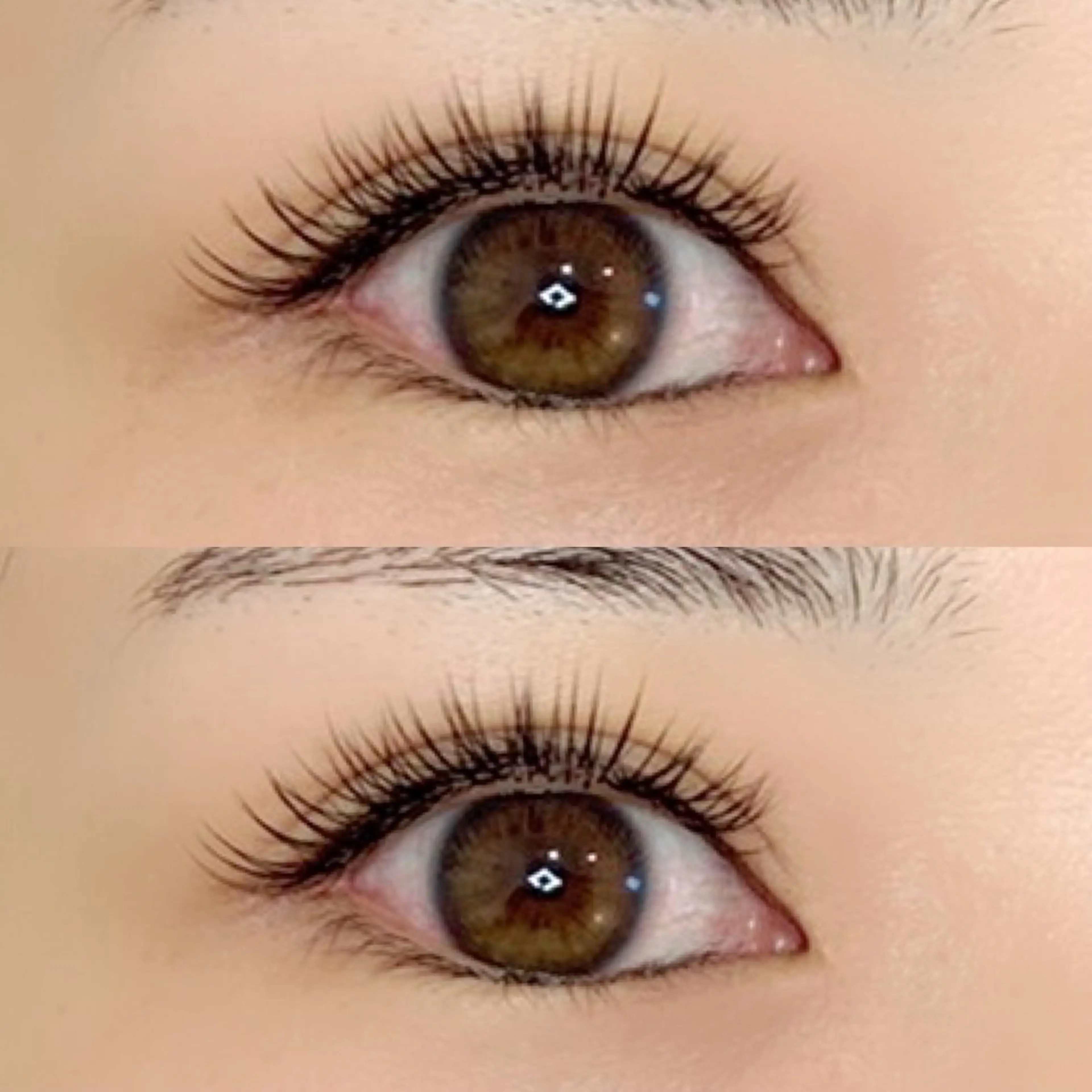 フラットラッシュ120本の写真