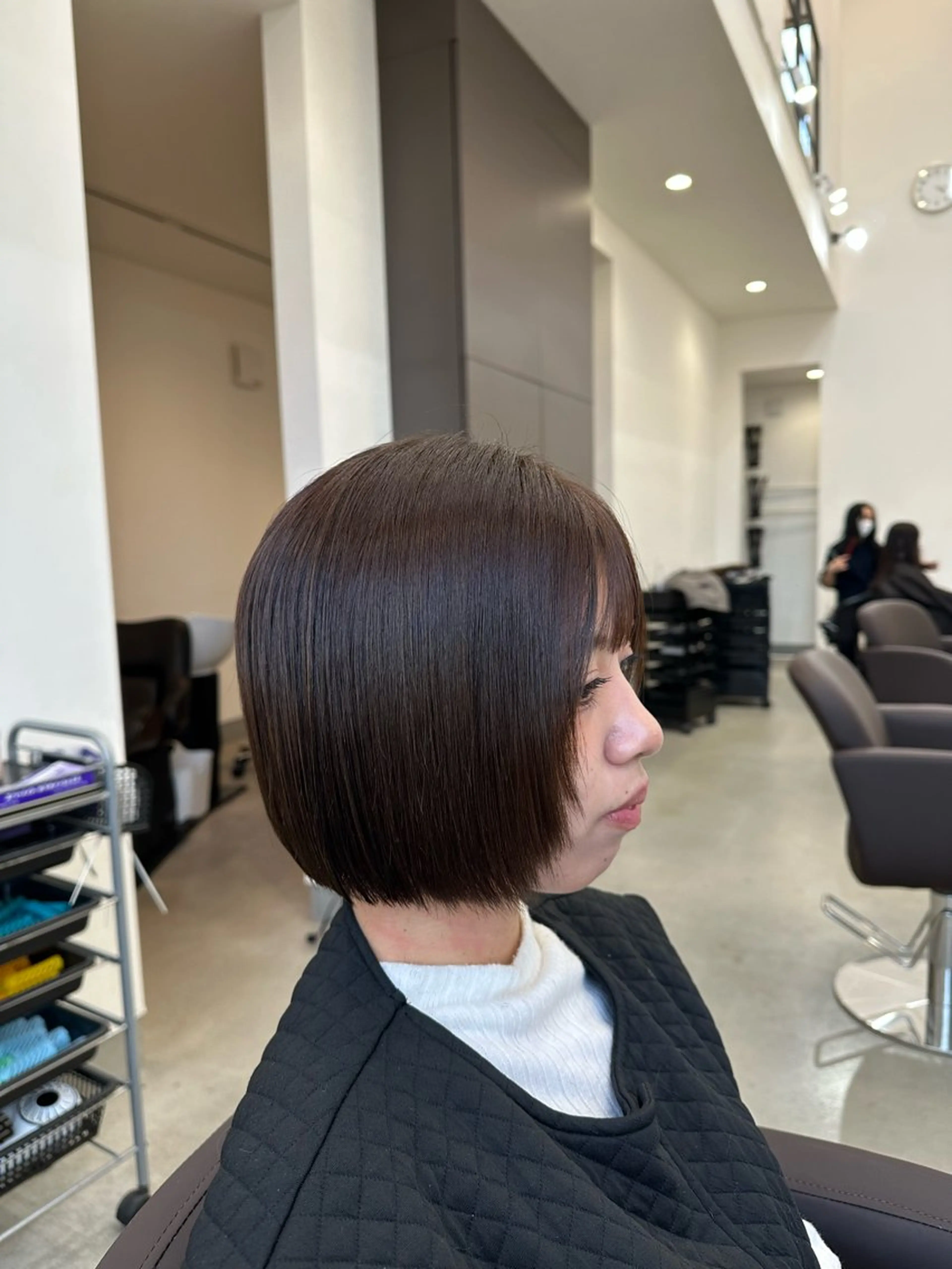 ショート ボブレイヤー ボブ レイヤーカット カット ヘアカラー トリートメント 茂木 理紗のヘアスタイル