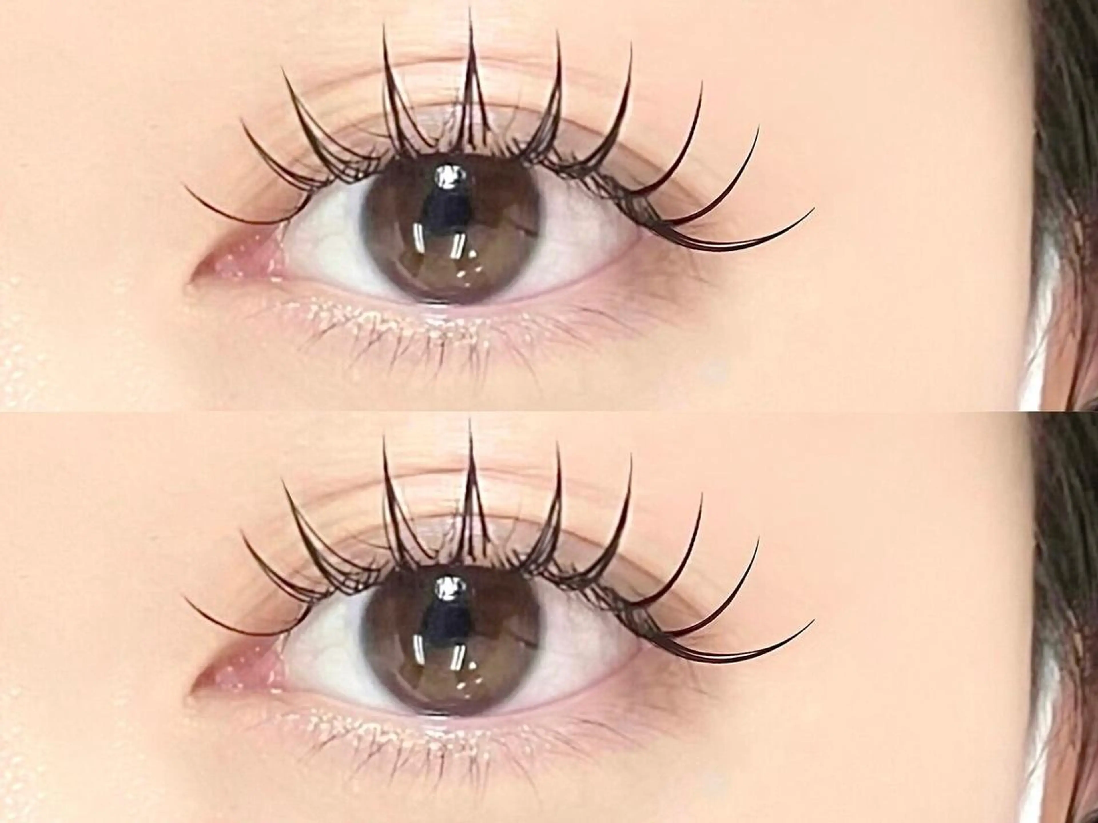 ダブルフラットラッシュ【100束(200本)】オフ無料¥5800の写真