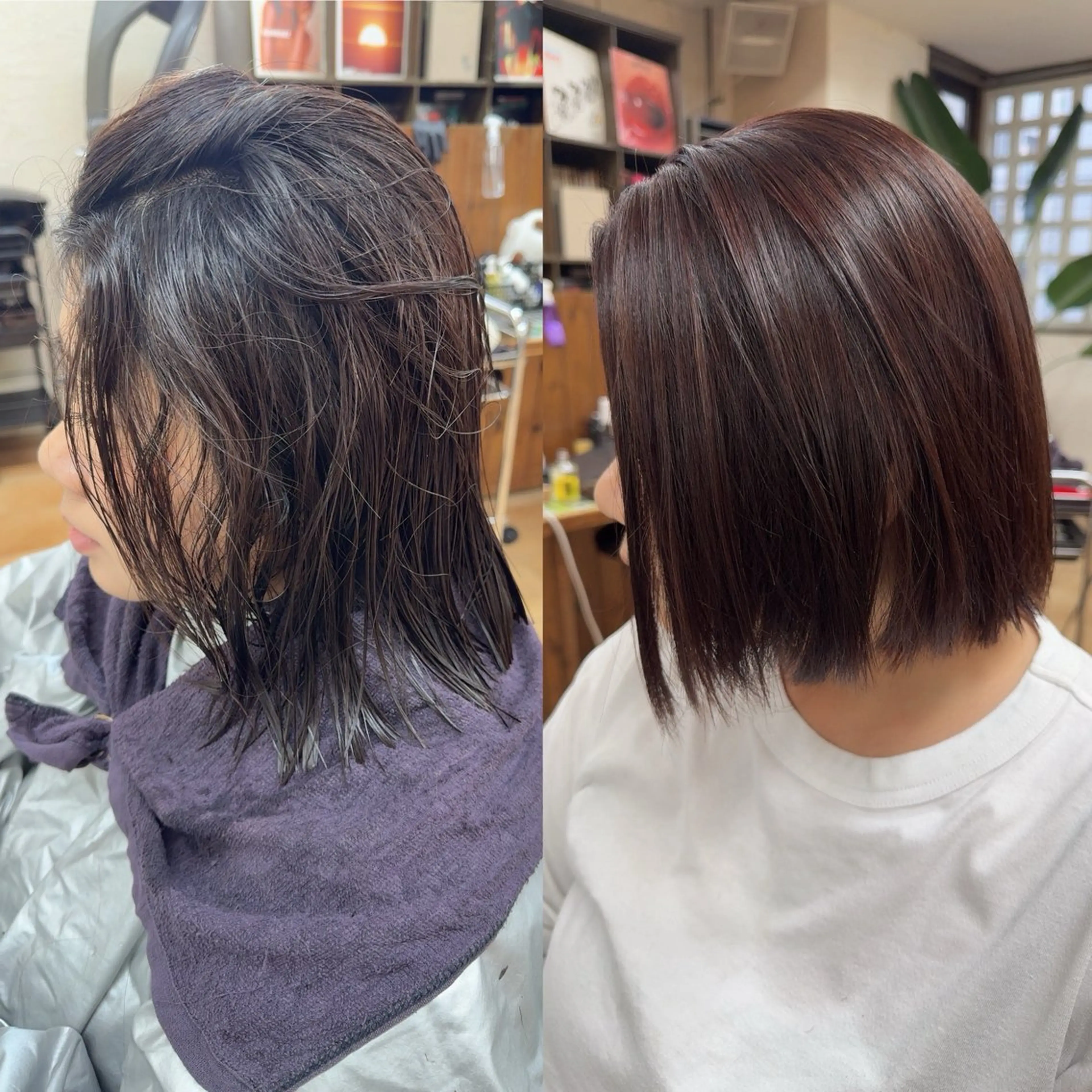 ショート 縮毛矯正 縮毛矯正 dolphin ドルフィンオーナーのヘアスタイル
