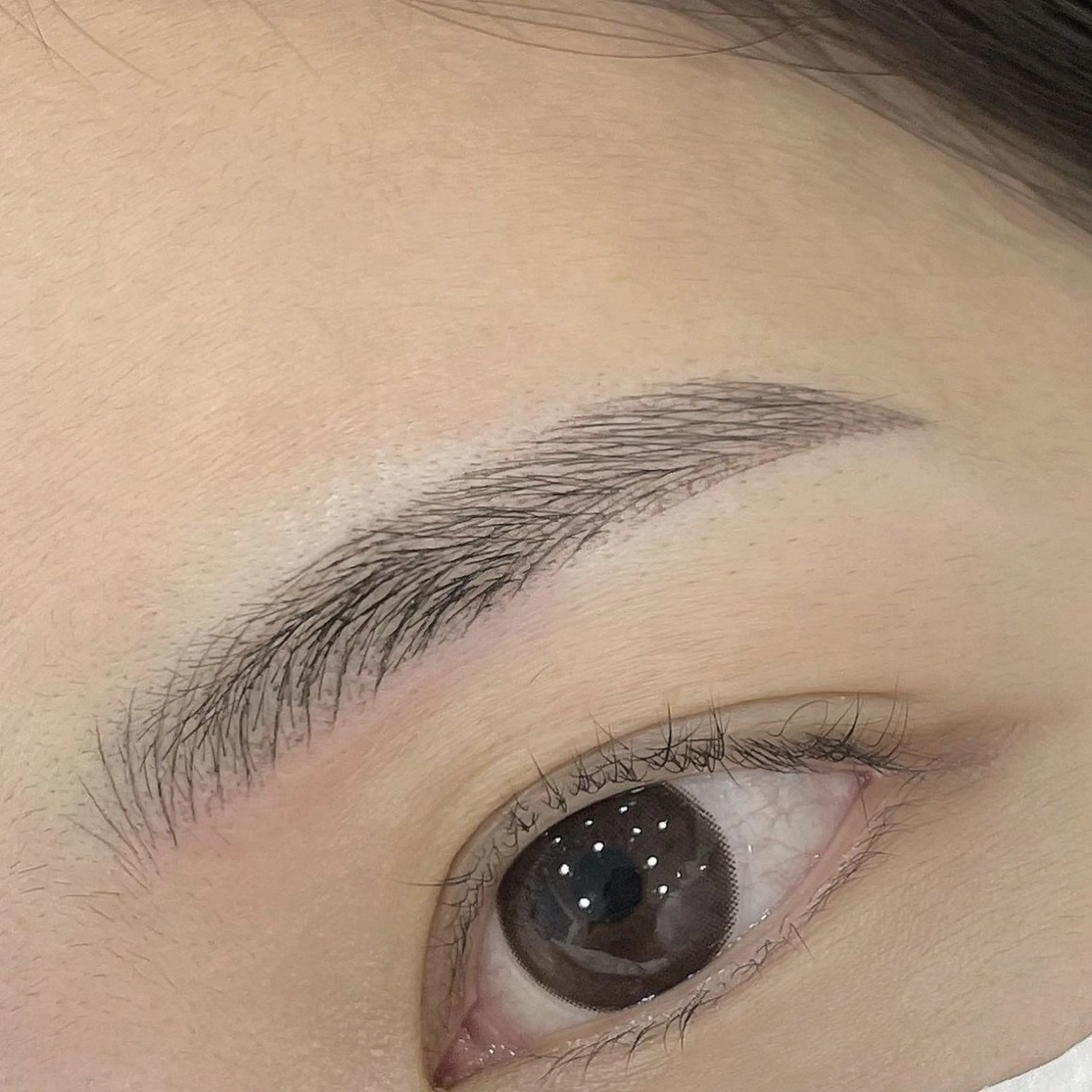 アイブロウ chicchi momoの眉毛・アイブロウイメージ