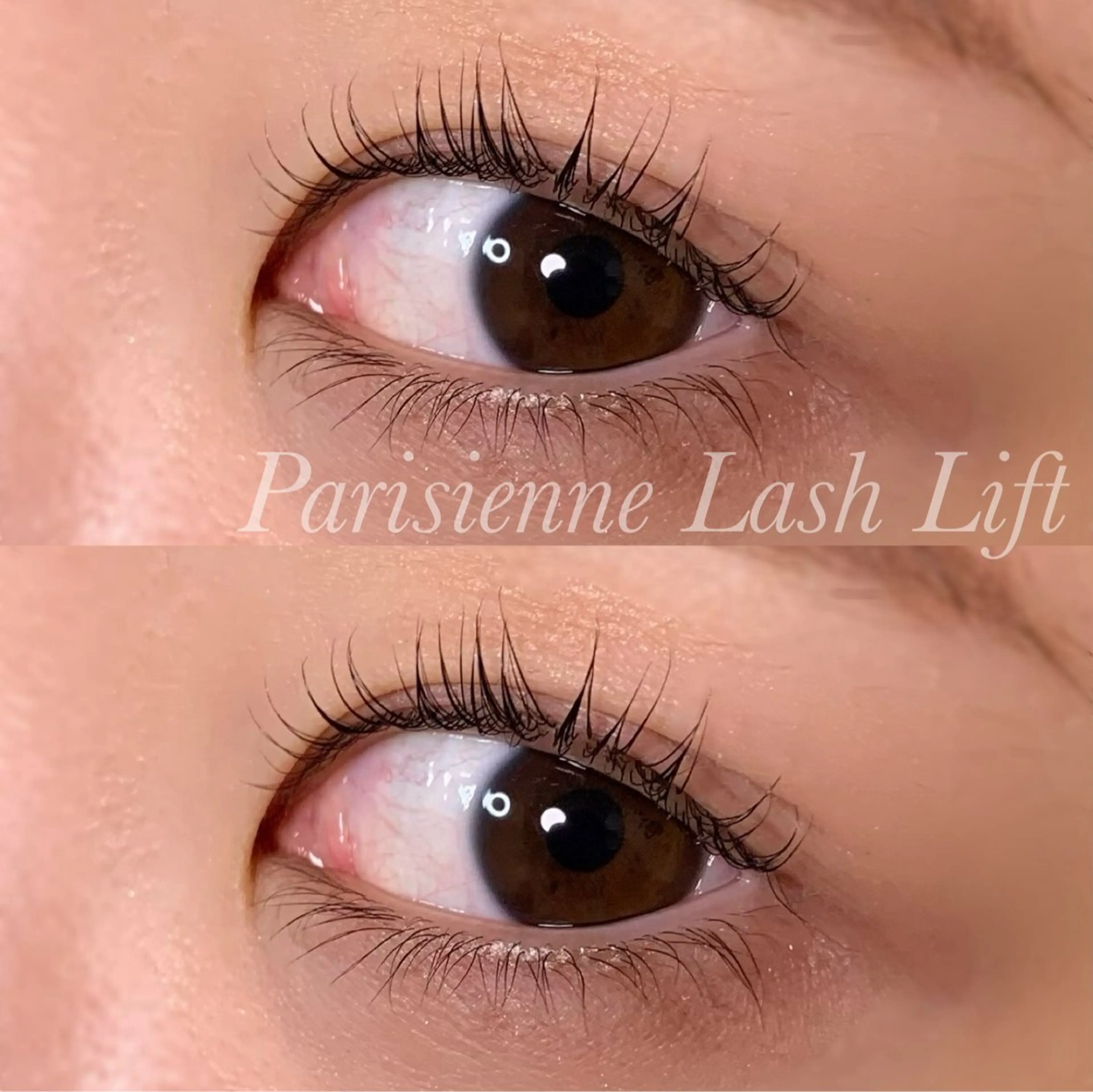 マツエク・マツパ パリジェンヌラッシュリフト マツパ Ayumi.pro 🍆N《4階》のマツエク・マツパデザイン