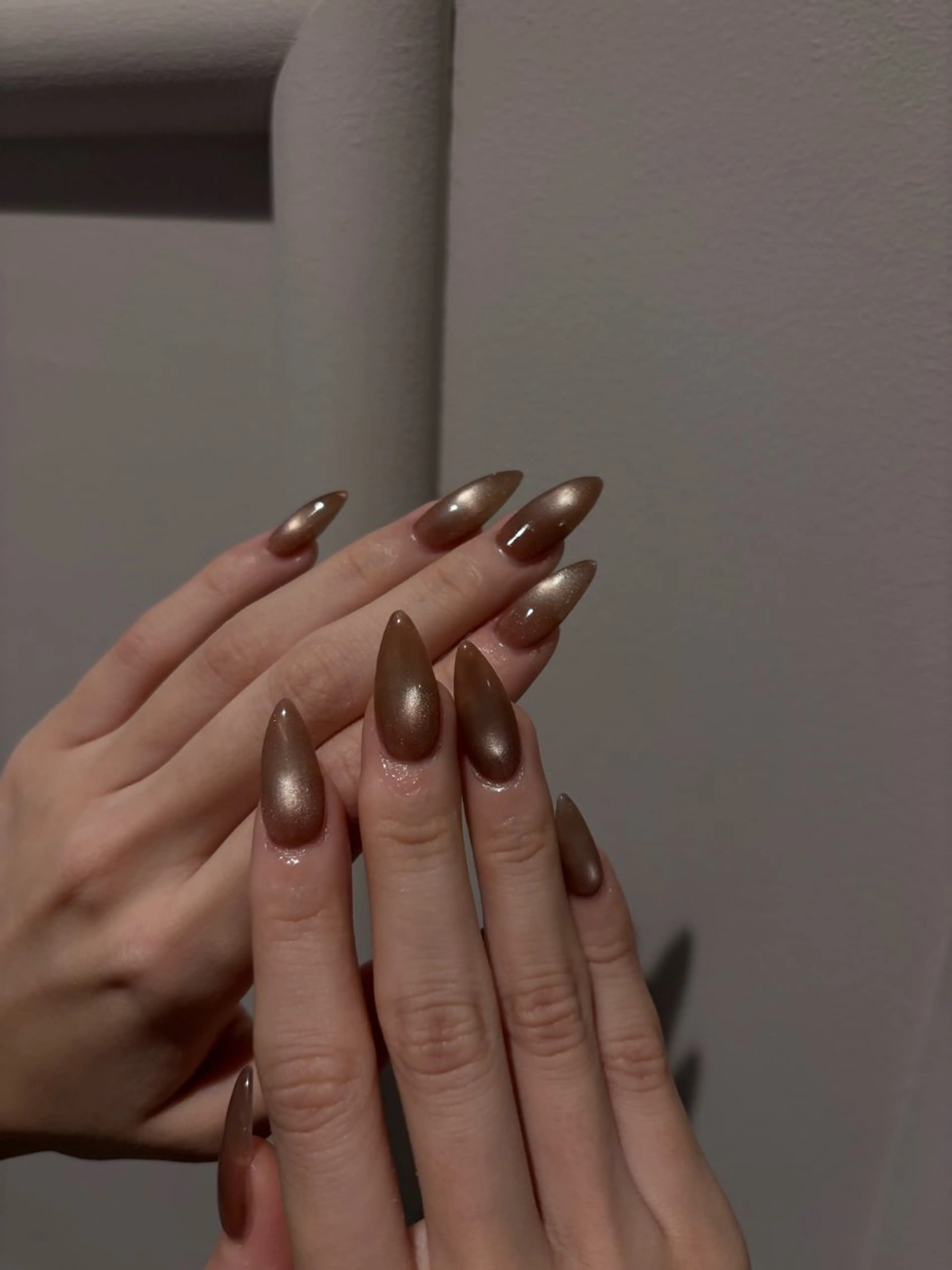 magnet one color.𖥔 ݁（オフあり）の写真