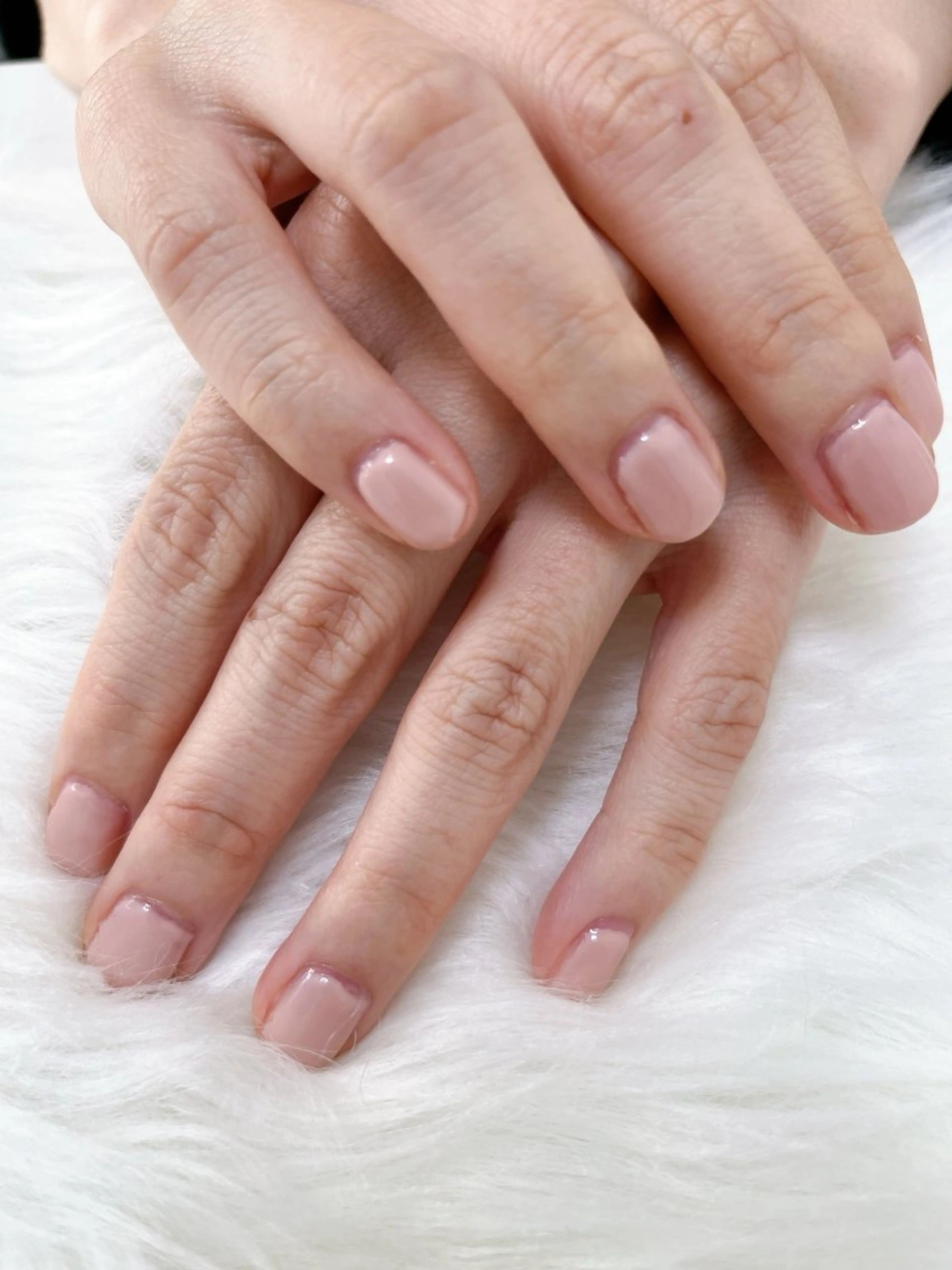 ワンカラー（オフ無）の写真