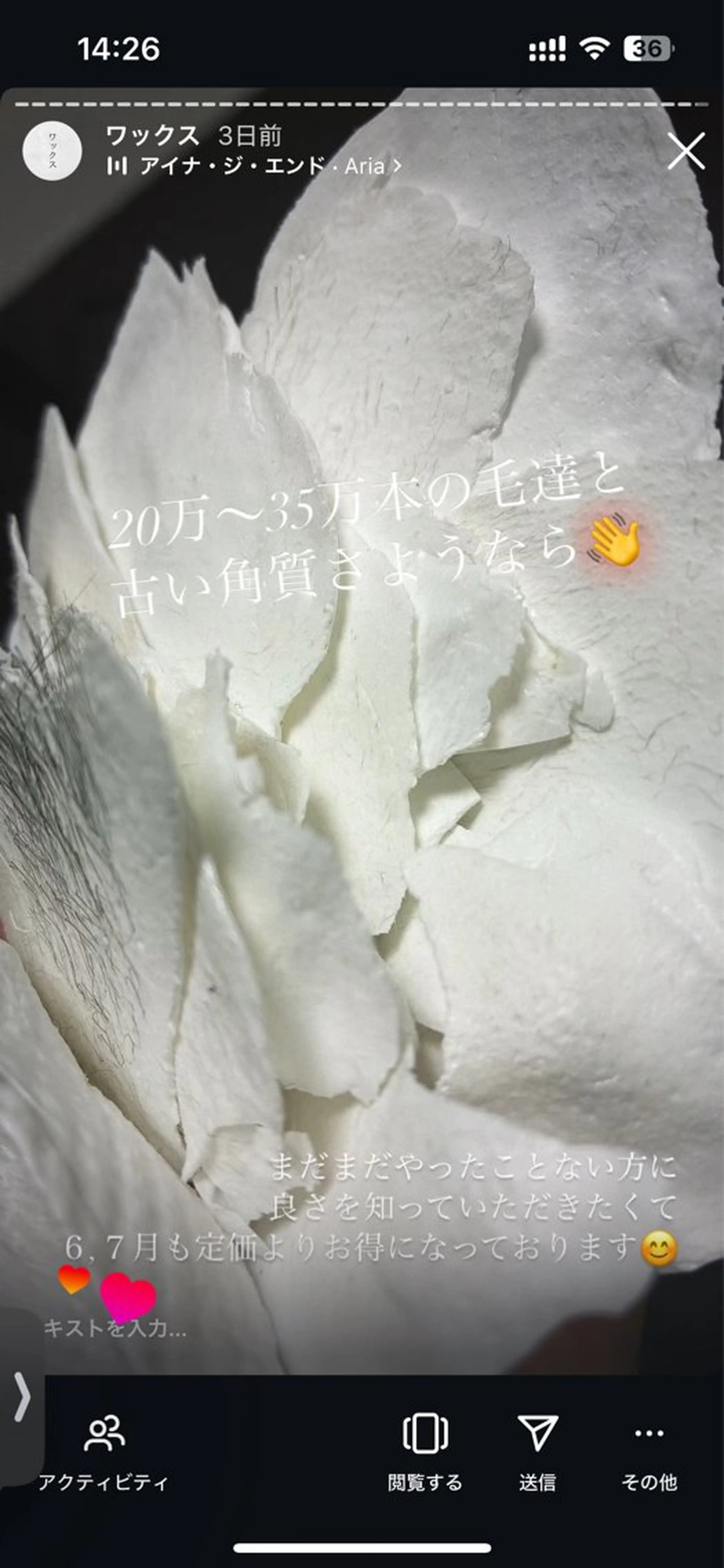 ローズフォーライフ YUMIの眉毛・アイブロウイメージ