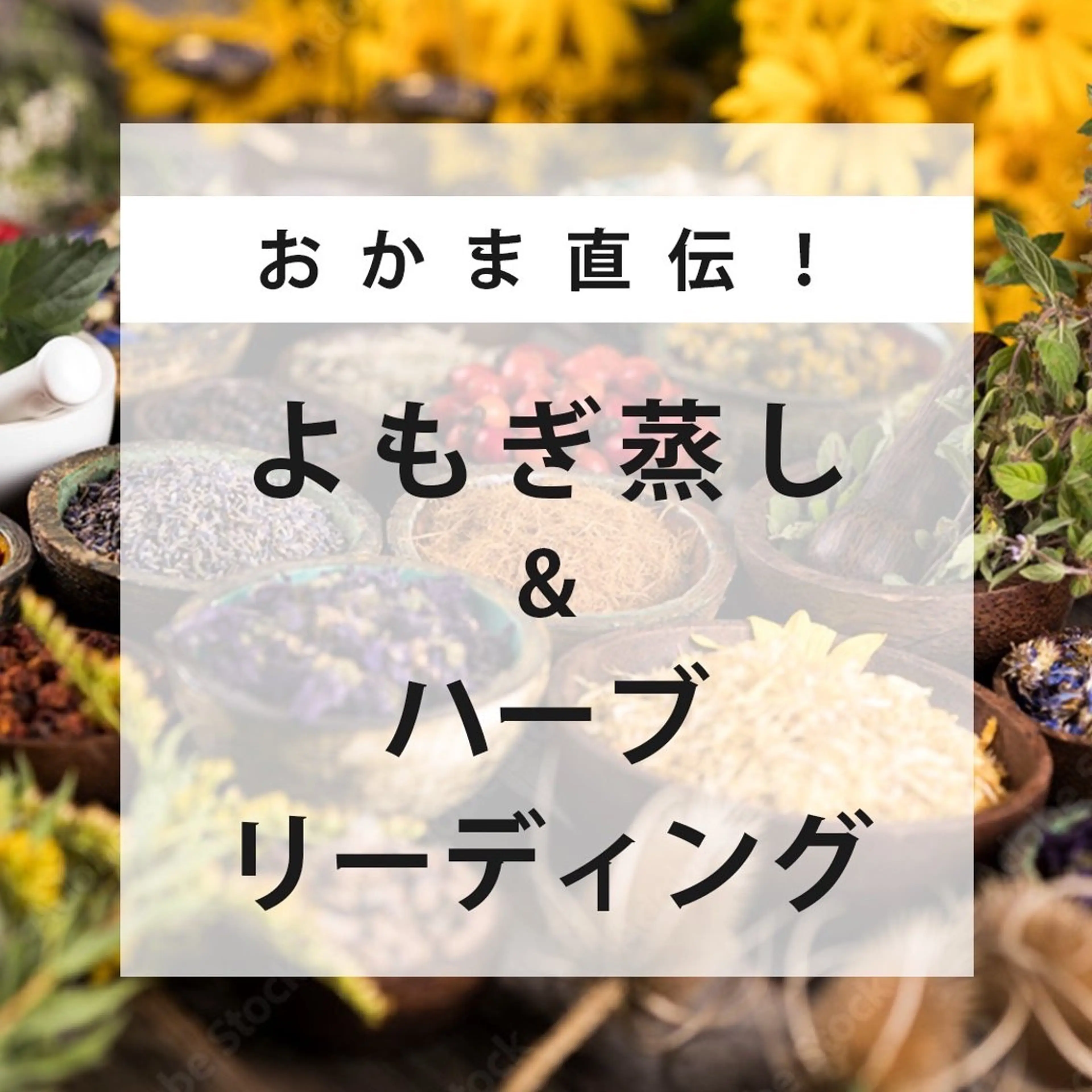【口コミ投稿 & ご新規】のお客様限定🌿たっぷり発汗🥵！国産よもぎ蒸し60分　選べる漢方付き♡の写真